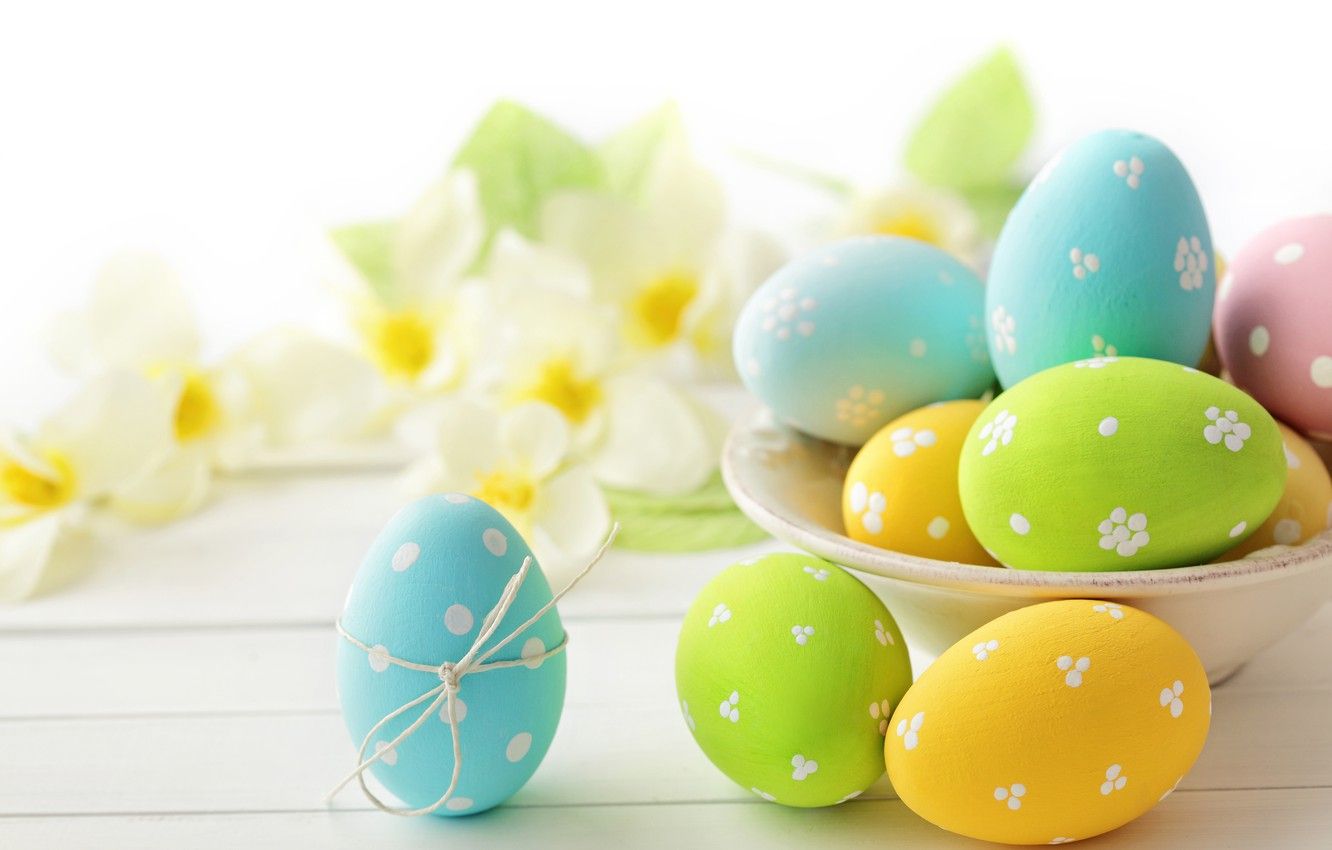 Wallpaper flowers, eggs, Easter, flowers, Easter, eggs, delicate, pastel image for desktop, section праздники