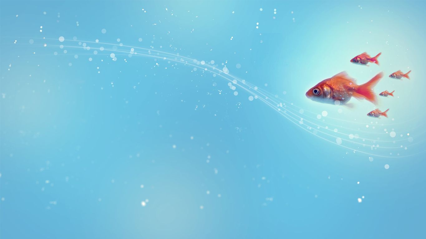 Free download Water bubbles and Gold fish HD Gold fish wallpaper