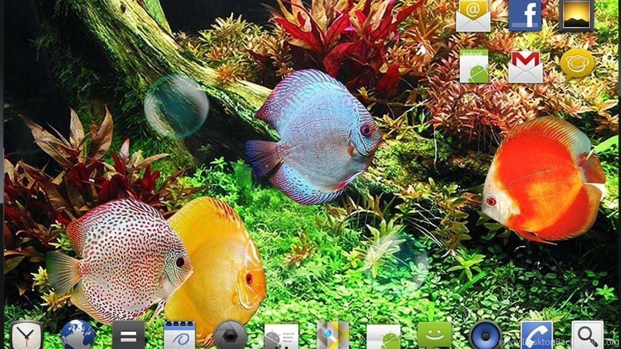 Deep Water Fish Live Wallpaper Download Deep Water Fish Live