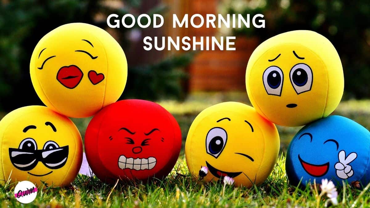 Memes Archives Quotes, Wishes, & Messages
