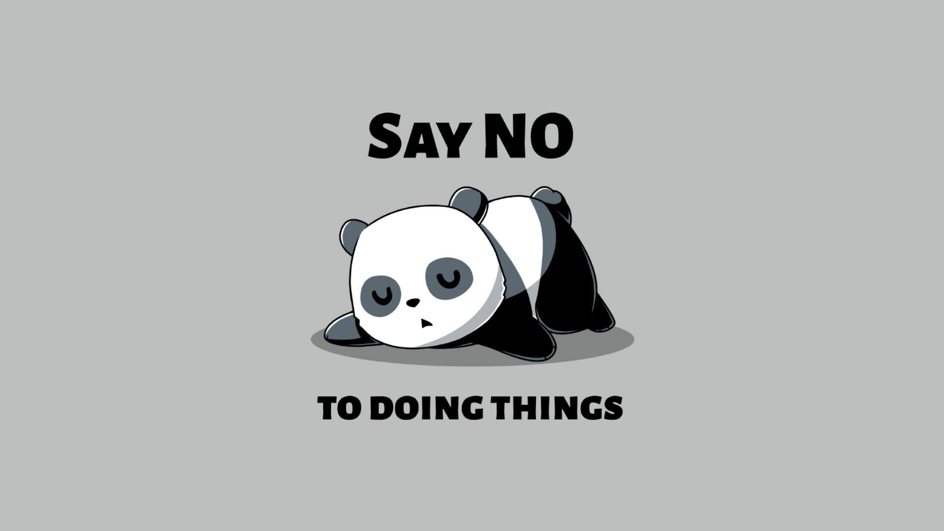 Lazy Panda Say No To Doing Things HD Wallpaper. Background