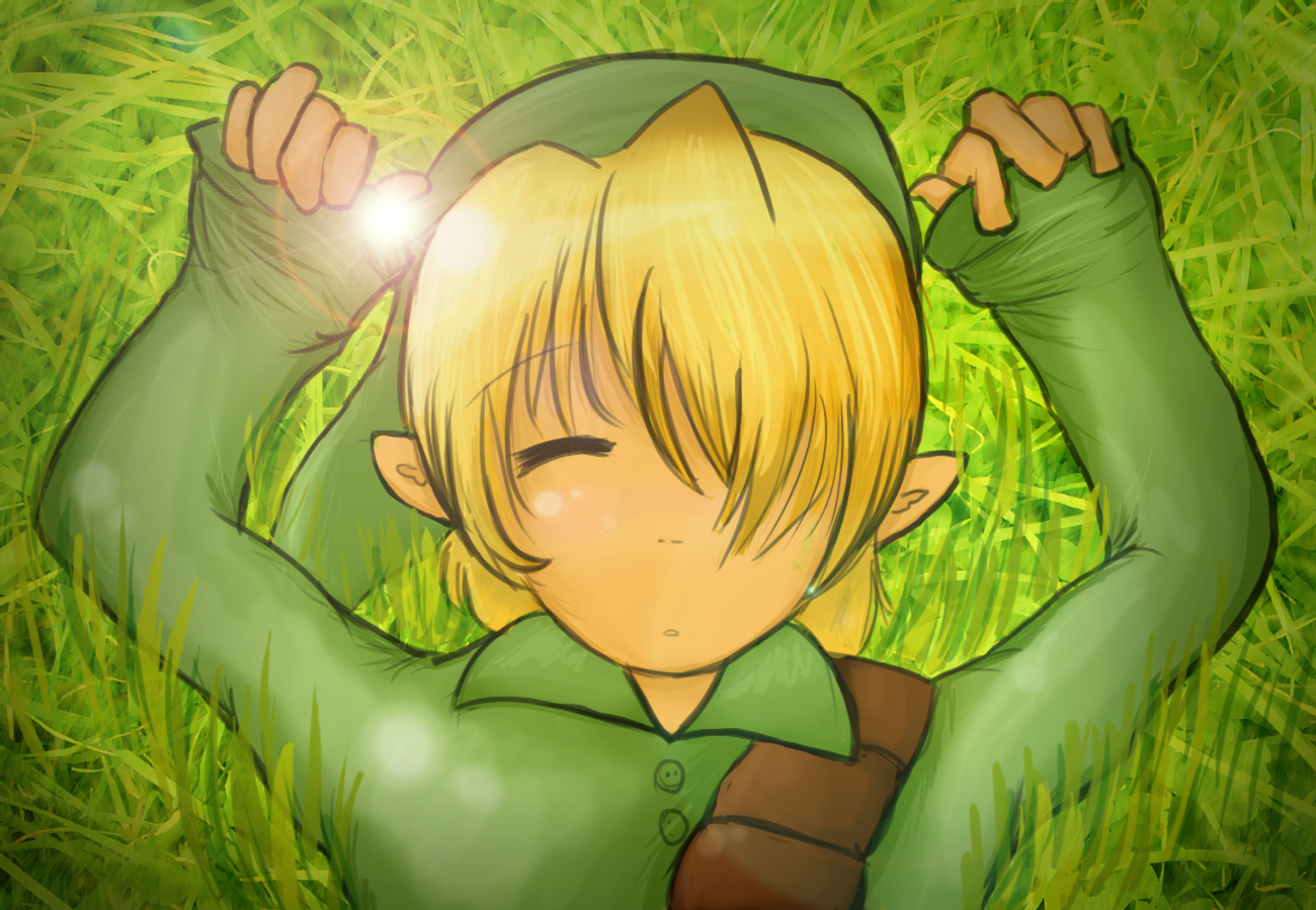 Cute Legend of Zelda Wallpaper (Link Sleeping!)