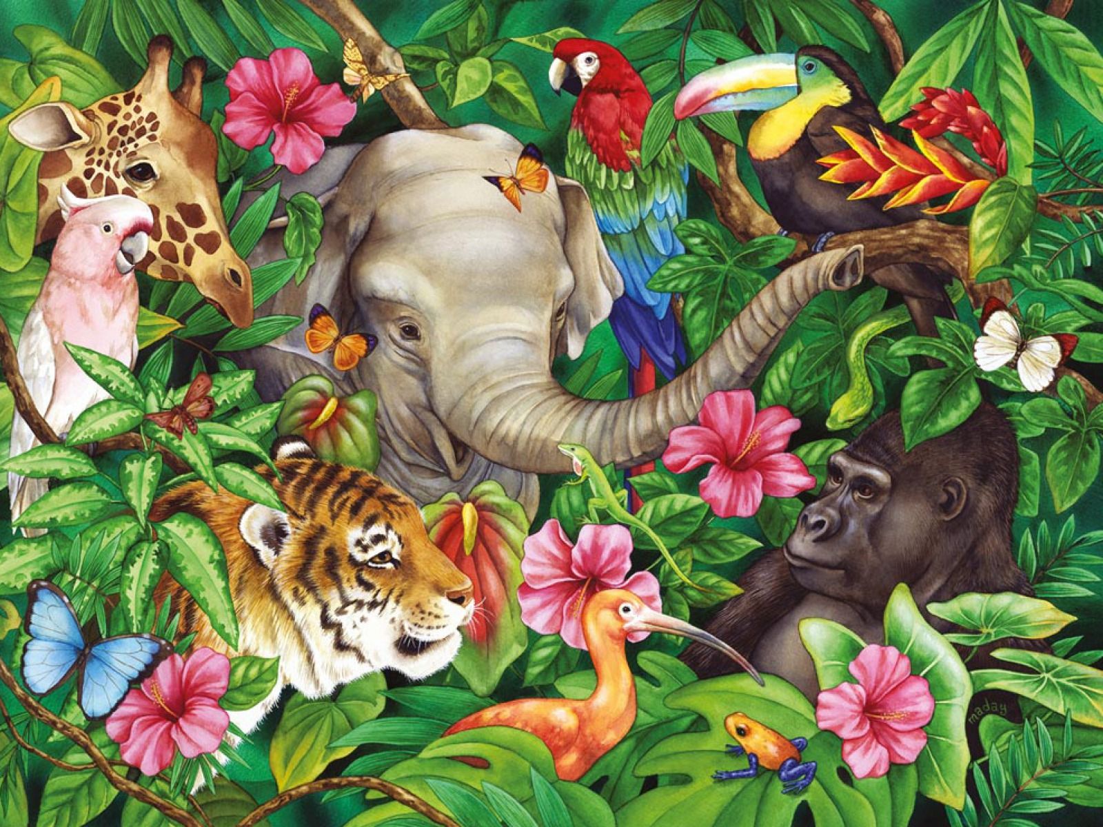 Free download Jungle Animals Two wallpaper Jungle Animals Two [1600x1200] for your Desktop, Mobile & Tablet. Explore Jungle Animal Wallpaper. Jungle Book Wallpaper, Jungle Wallpaper for Walls