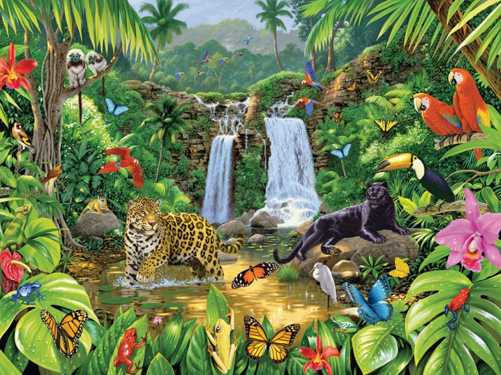 Free download ANIMALS OF THE JUNGLE wallpaper ForWallpapercom