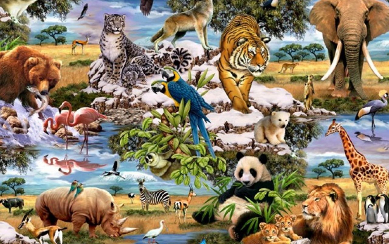 Jungle Animals Five wallpaper. Jungle Animals Five