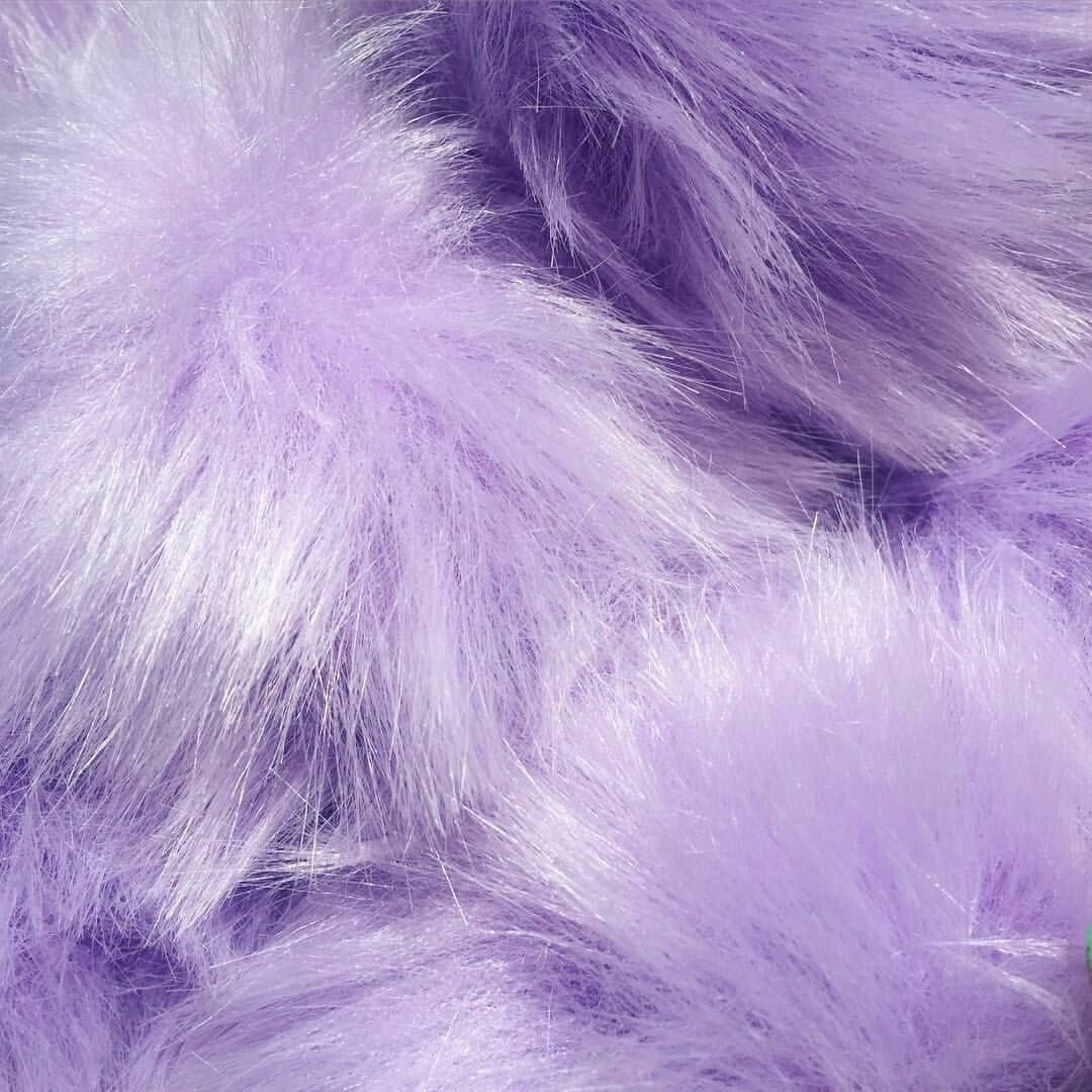 Furry Purple discovered by Jℯssica