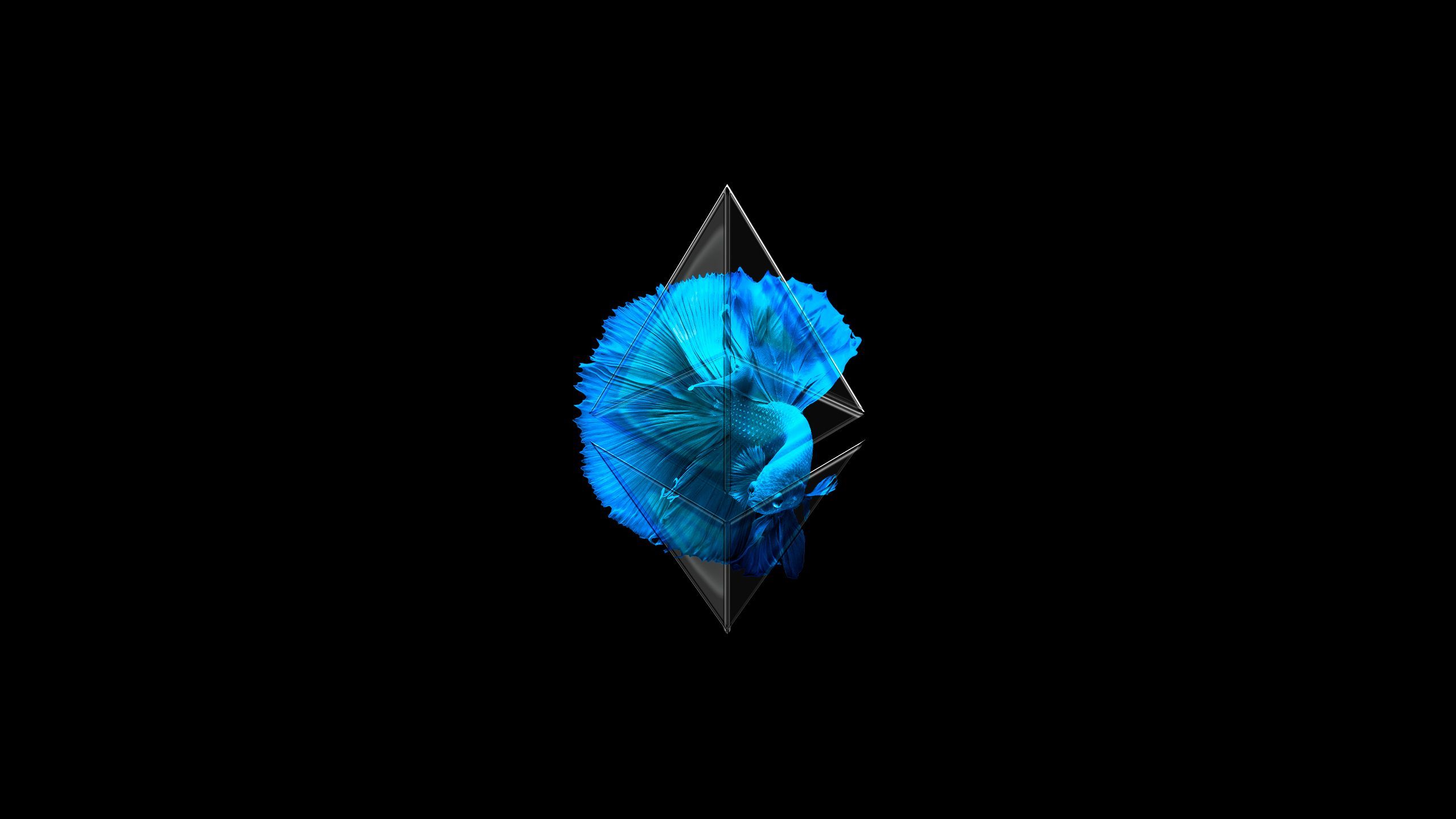 Ethereum wallpaper