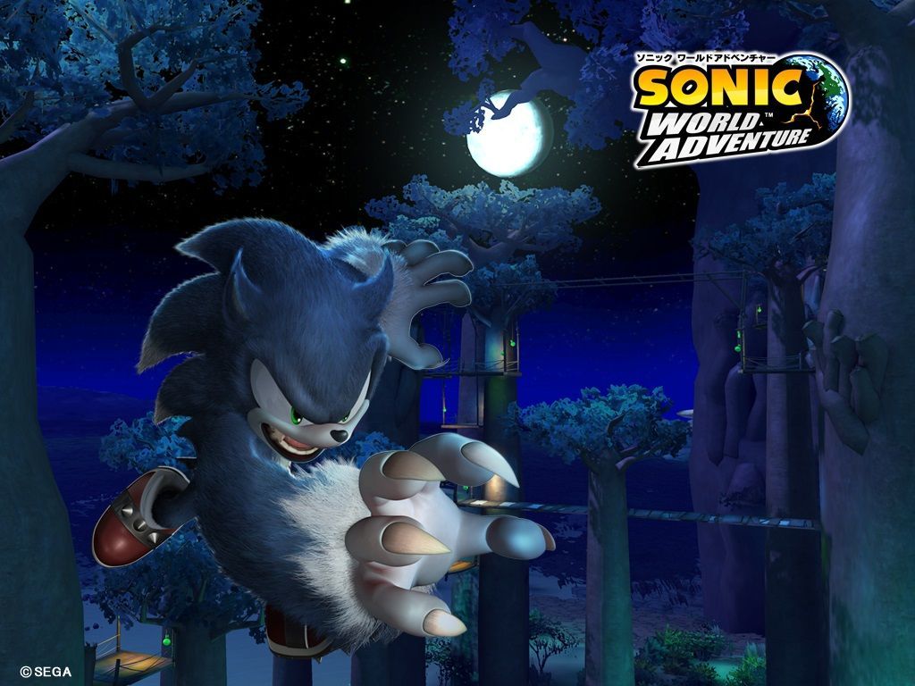 Sonic Unleashed wallpaper with Sonic's werehog form. Sonic unleashed, Sonic, Cartoon wallpaper