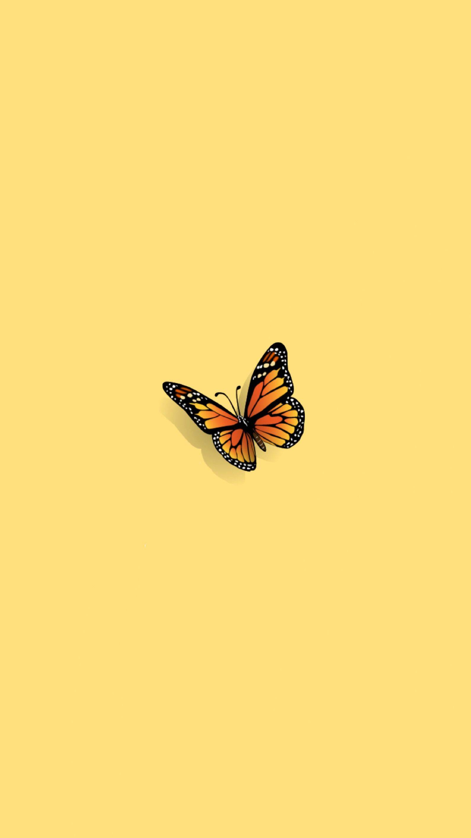 Cute Yellow Butterfly Wallpaper