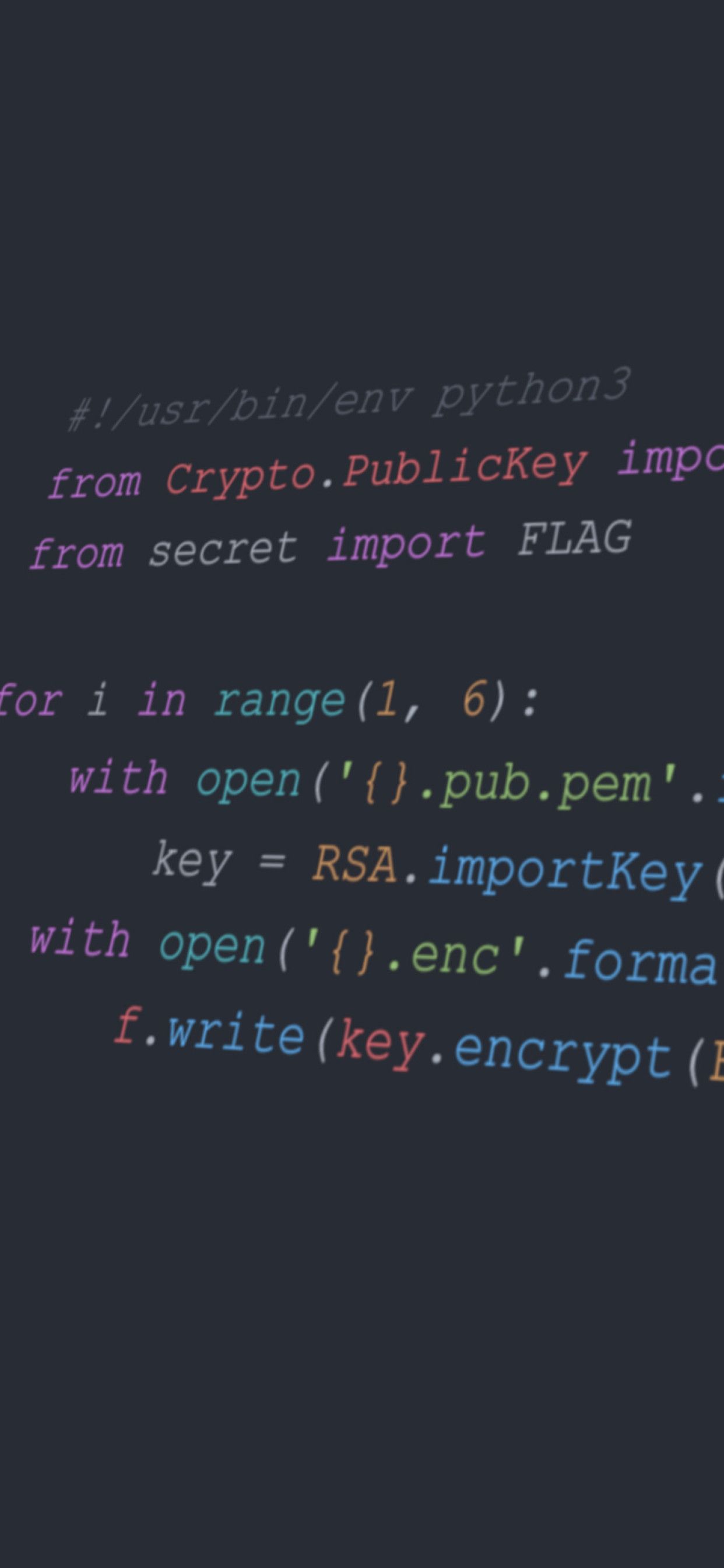 Python Programming Syntax, python, code, computer, programming, syntax, HD  wallpaper