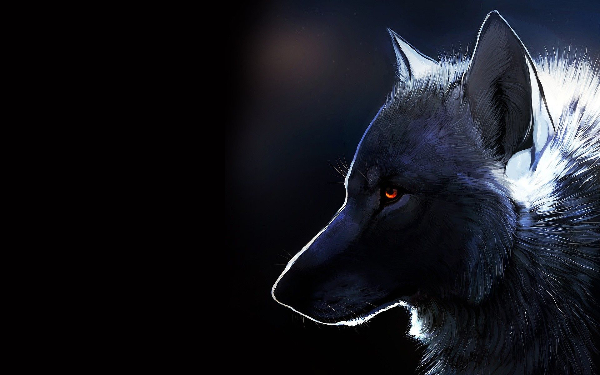 Wolf HD Desktop Wallpaper. Beautiful