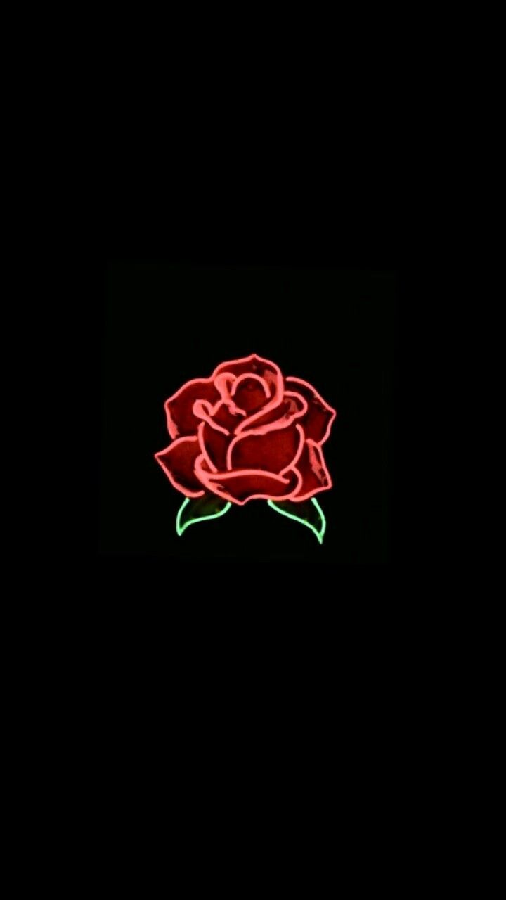 Cool Neon Rose Wallpapers  Top Free Cool Neon Rose Backgrounds   WallpaperAccess