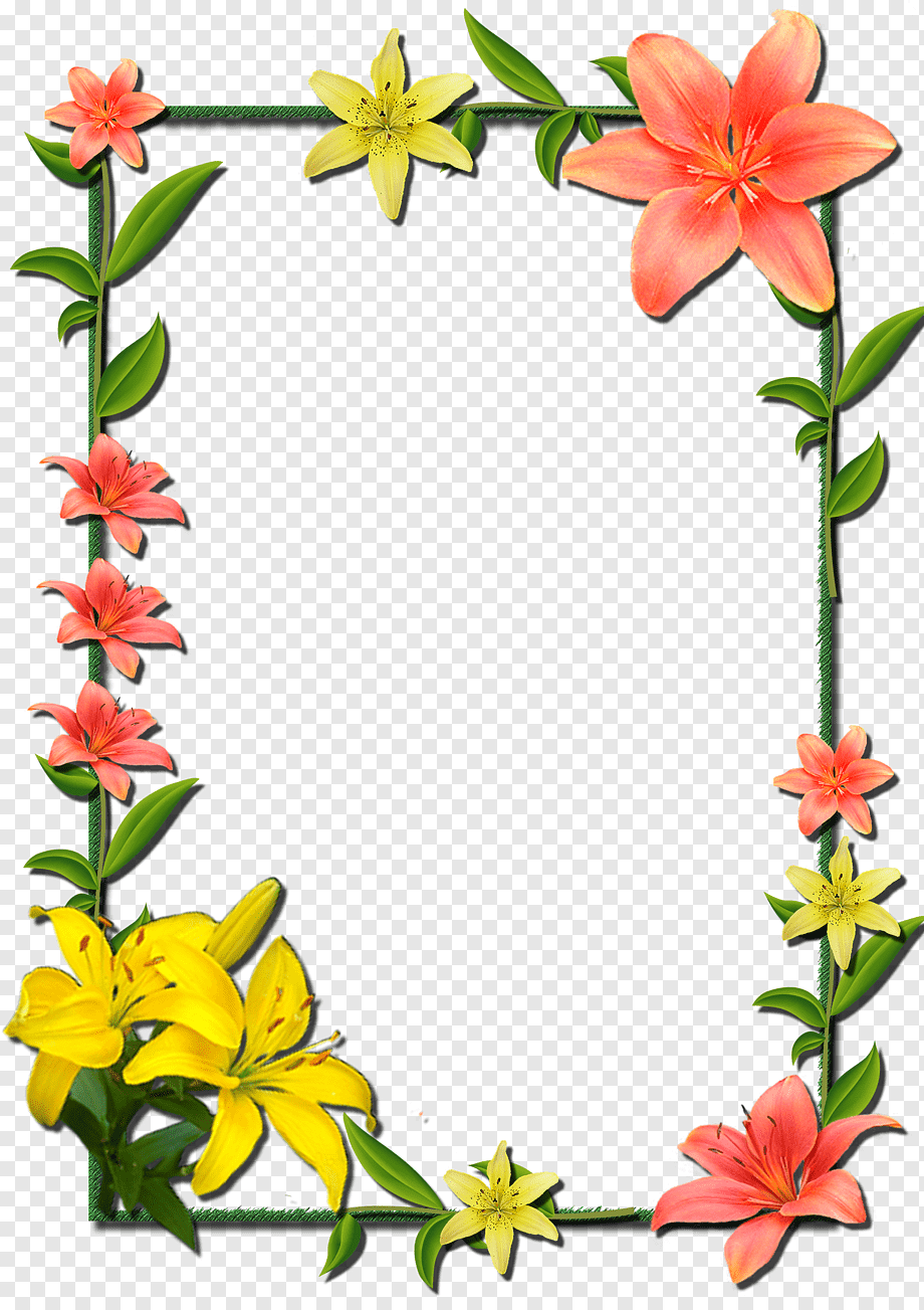 Borders and Frames Frames Flower, flower frame, flower Arranging