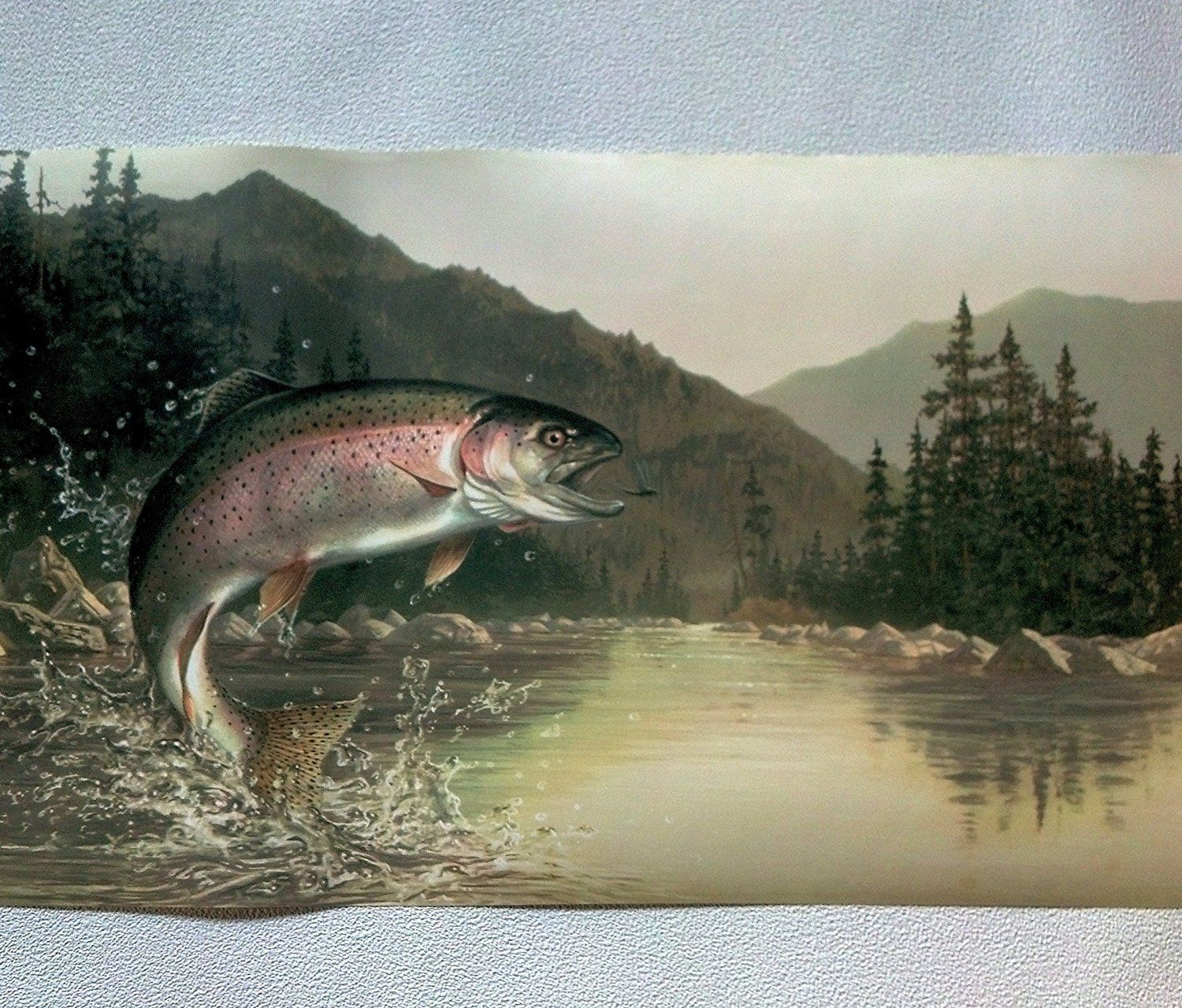 Fishing Rainbow Trout Wallpaper Border Light Hb112192b