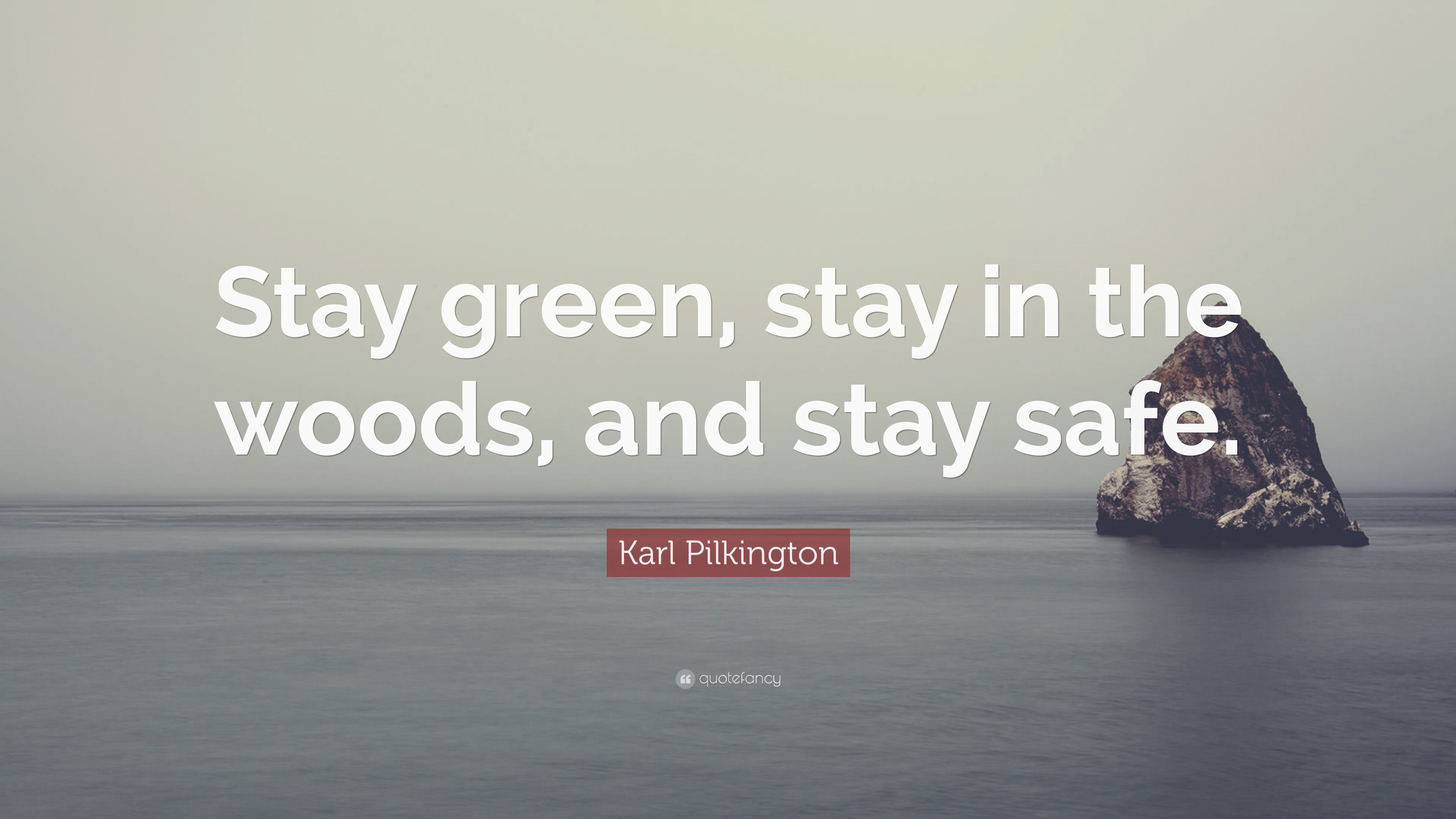 Karl Pilkington Quote: “Stay green, stay in the woods, and stay