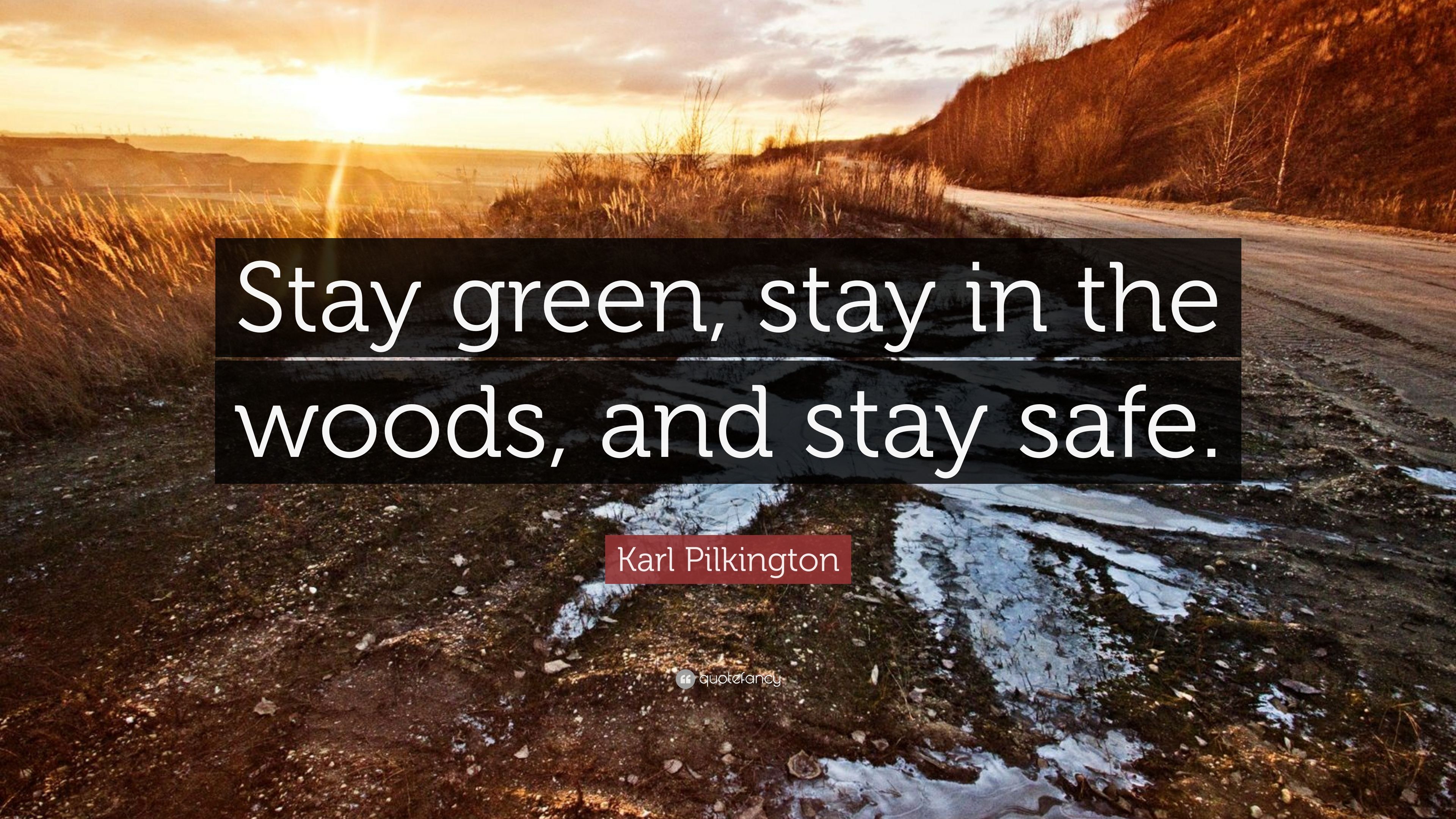 Karl Pilkington Quote: “Stay green, stay in the woods, and stay