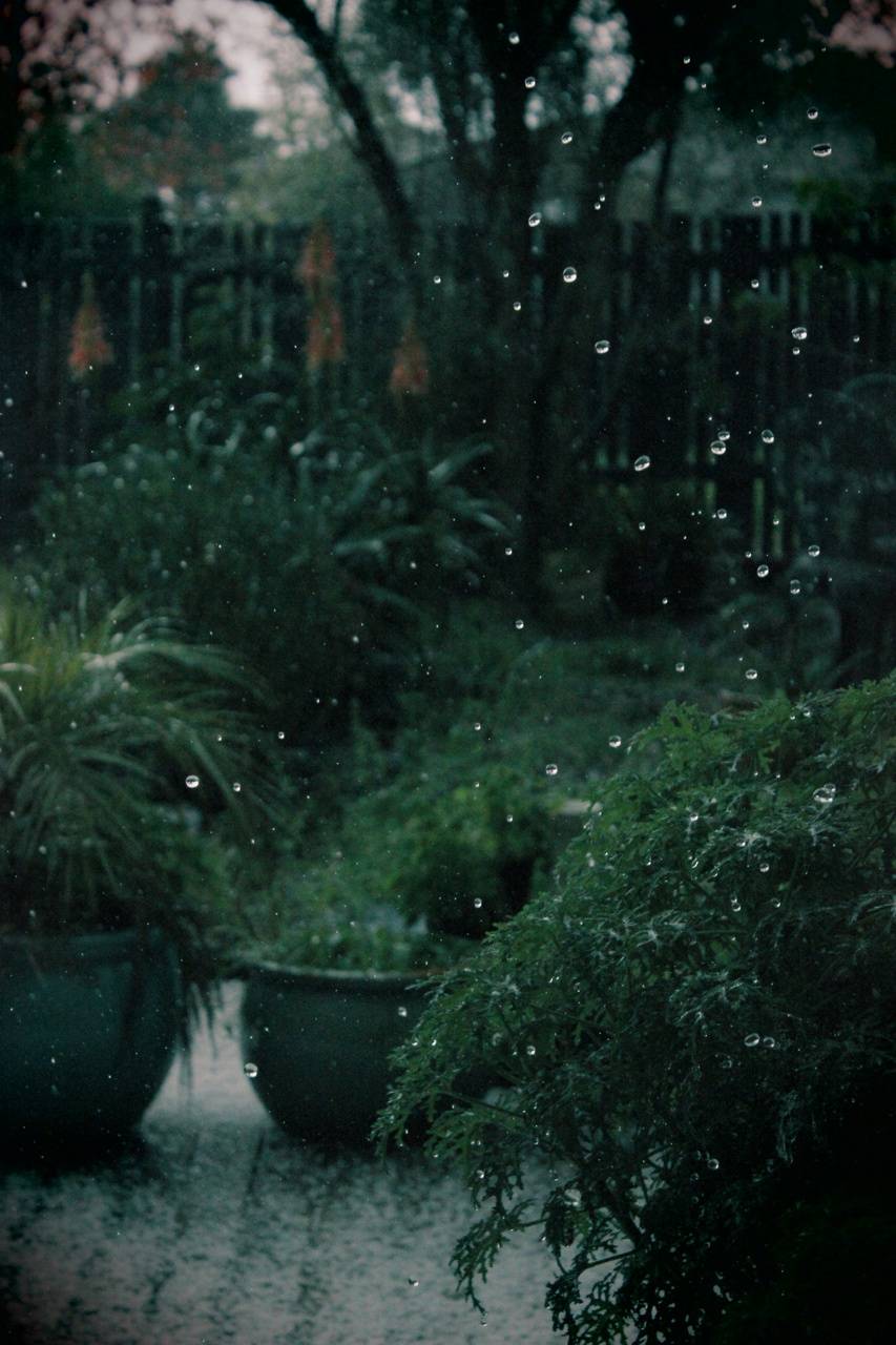 15 Greatest rain wallpaper aesthetic computer You Can Get It Free Of ...