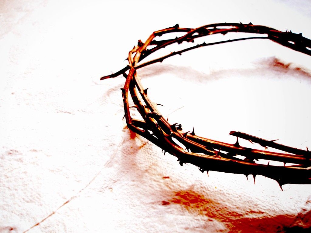 Thorns Wallpaper. Crown of Thorns