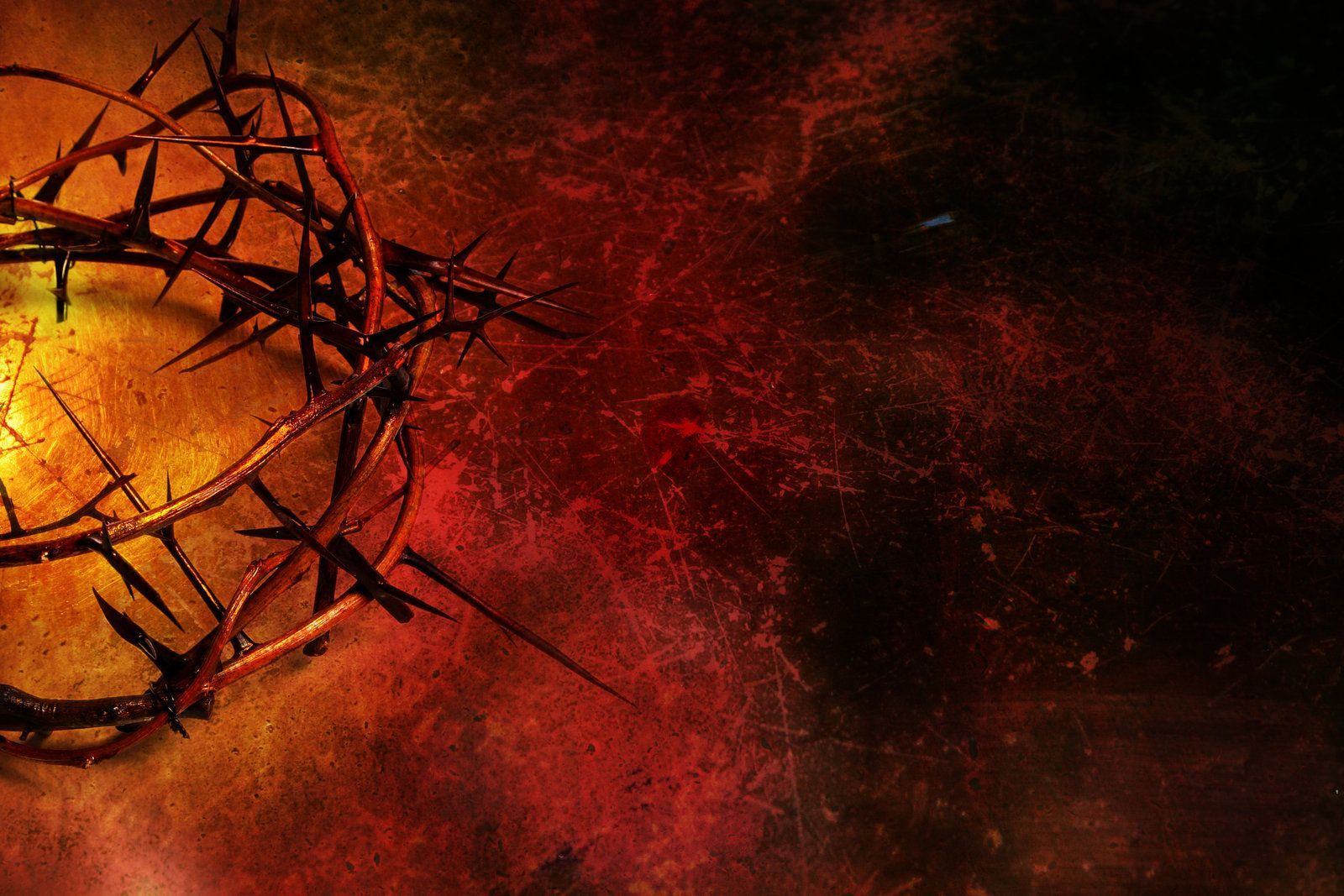 Crown Of Thorns And Nails Wallpaper
