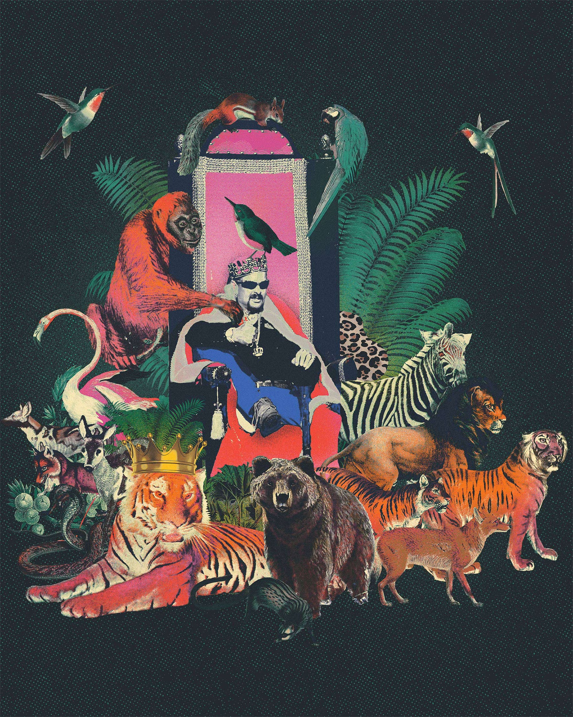 Joe Exotic Wallpapers Wallpaper Cave