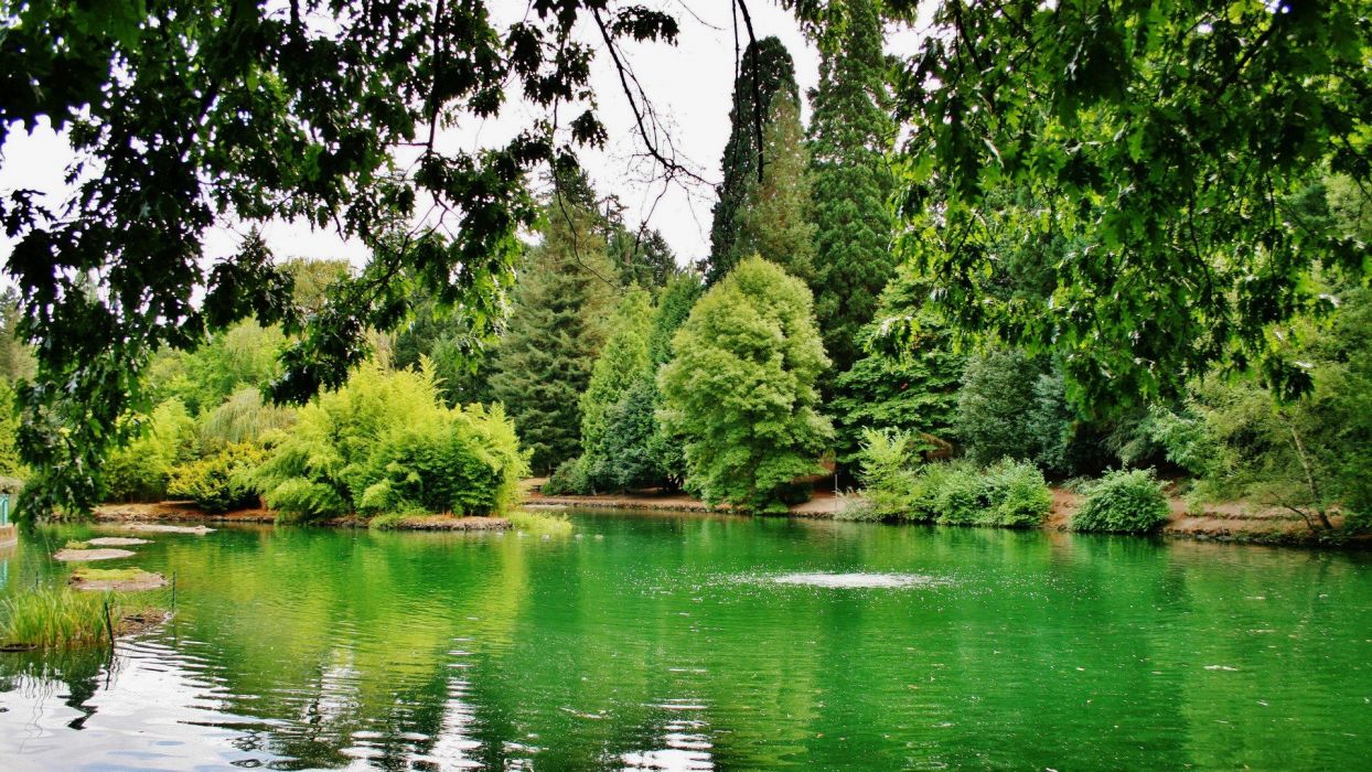 Green landscapes nature trees spring lakes parks wallpaper