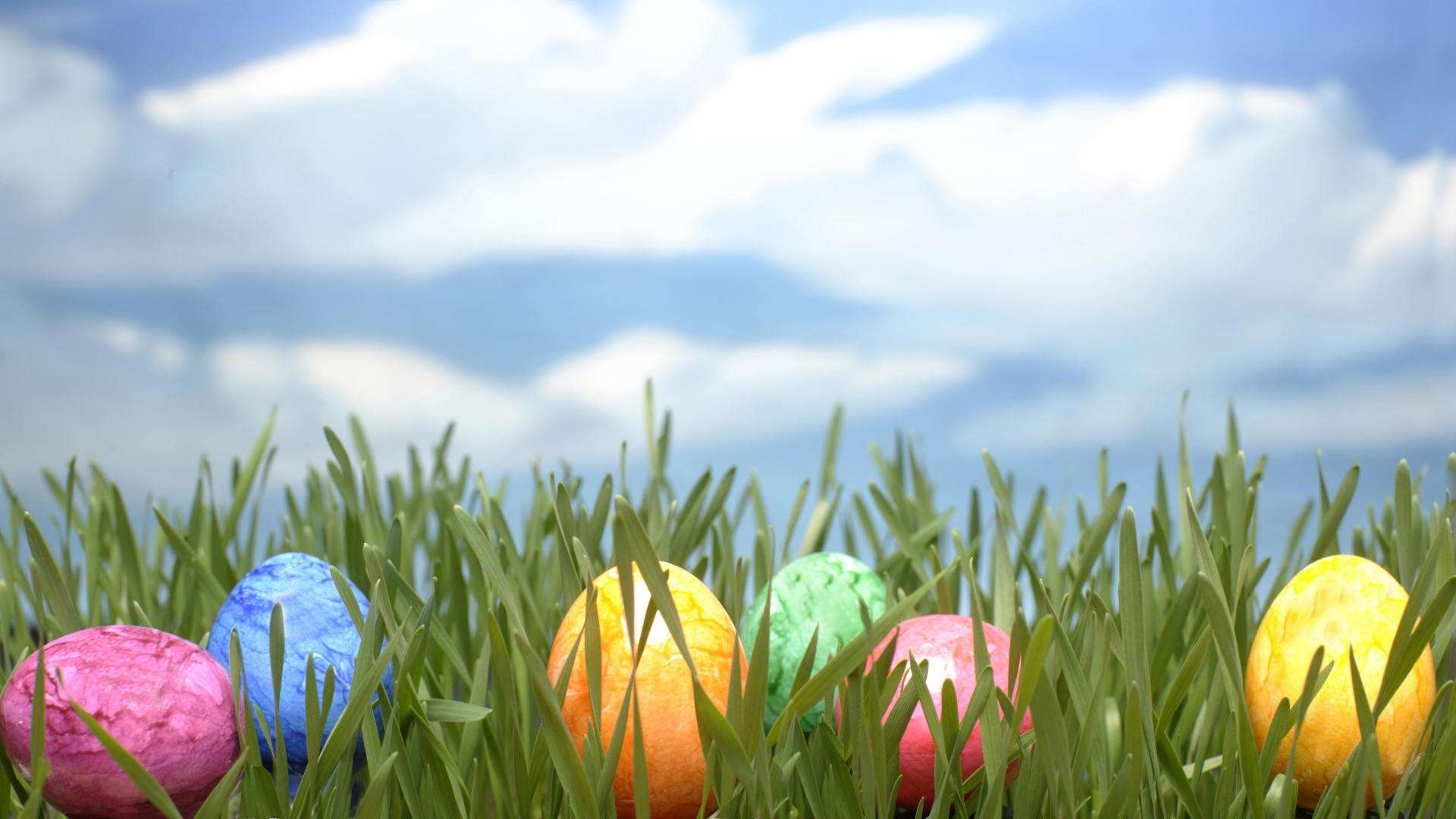 Colored Easter Eggs hidden in Grass HD Wallpaper FullHDWpp