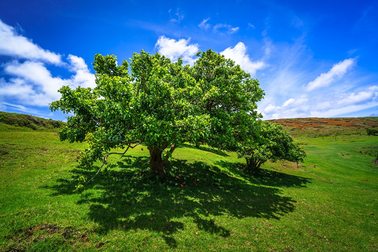 Desktop Wallpaper Chile Shadow Ranu Raraku, Easter Island Nature