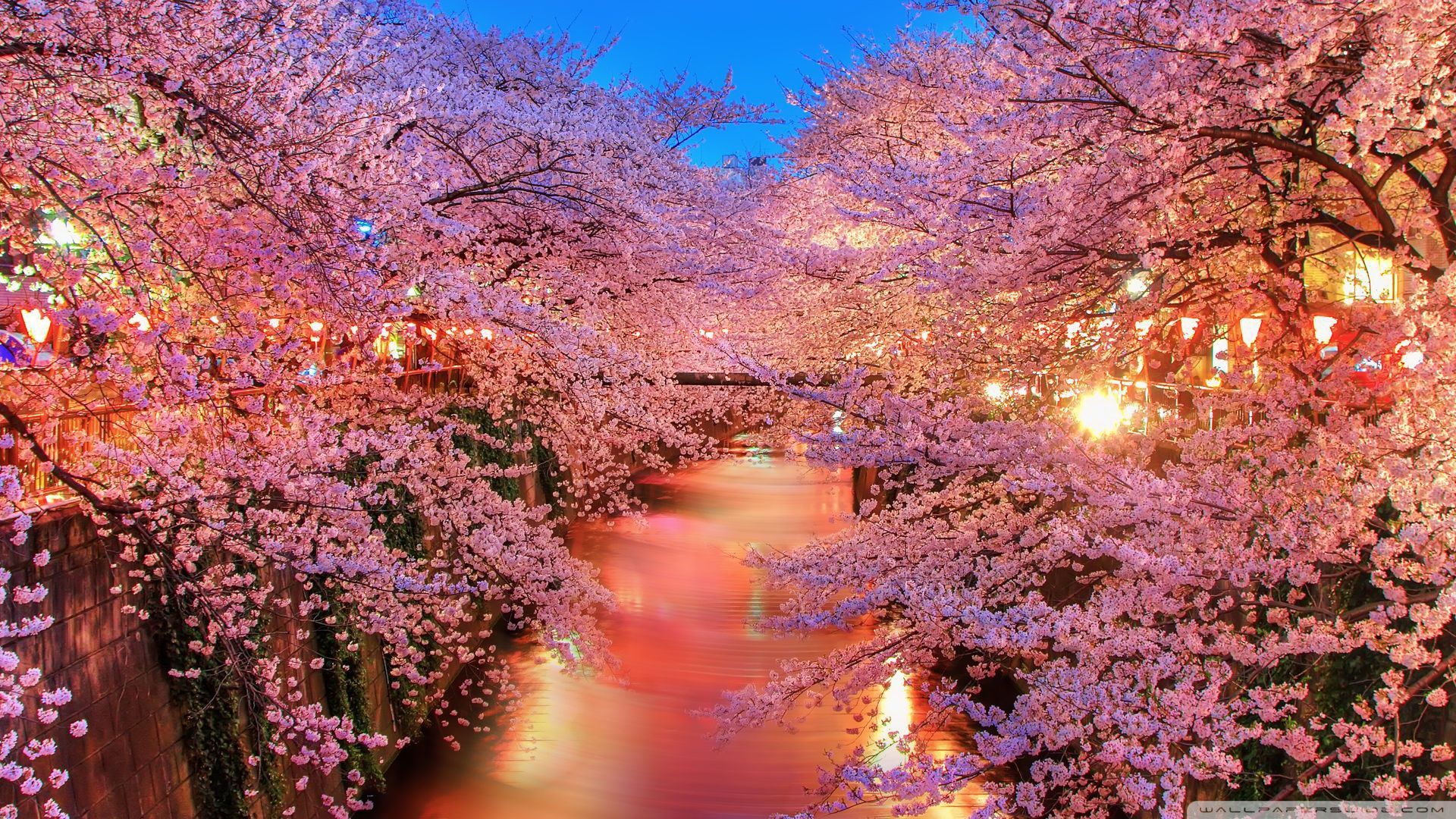 Fantastic spring 50382