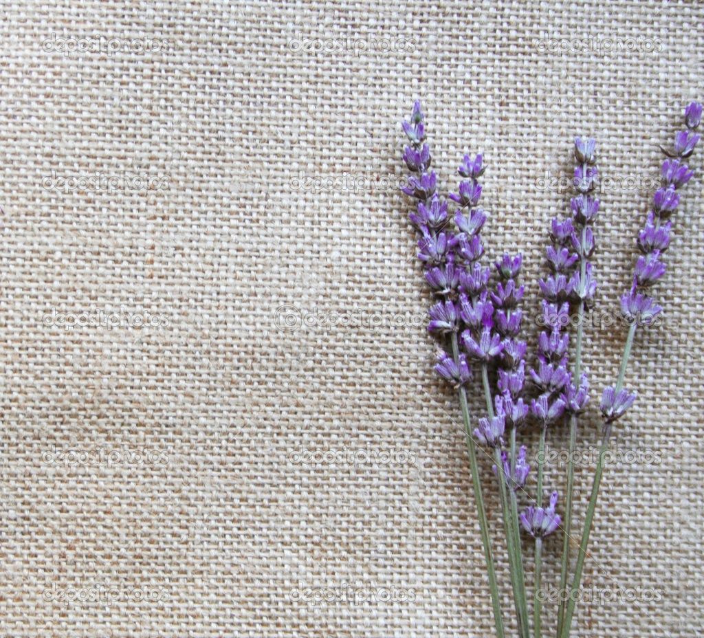 Free Lavender Wallpapers - Wallpaper Cave