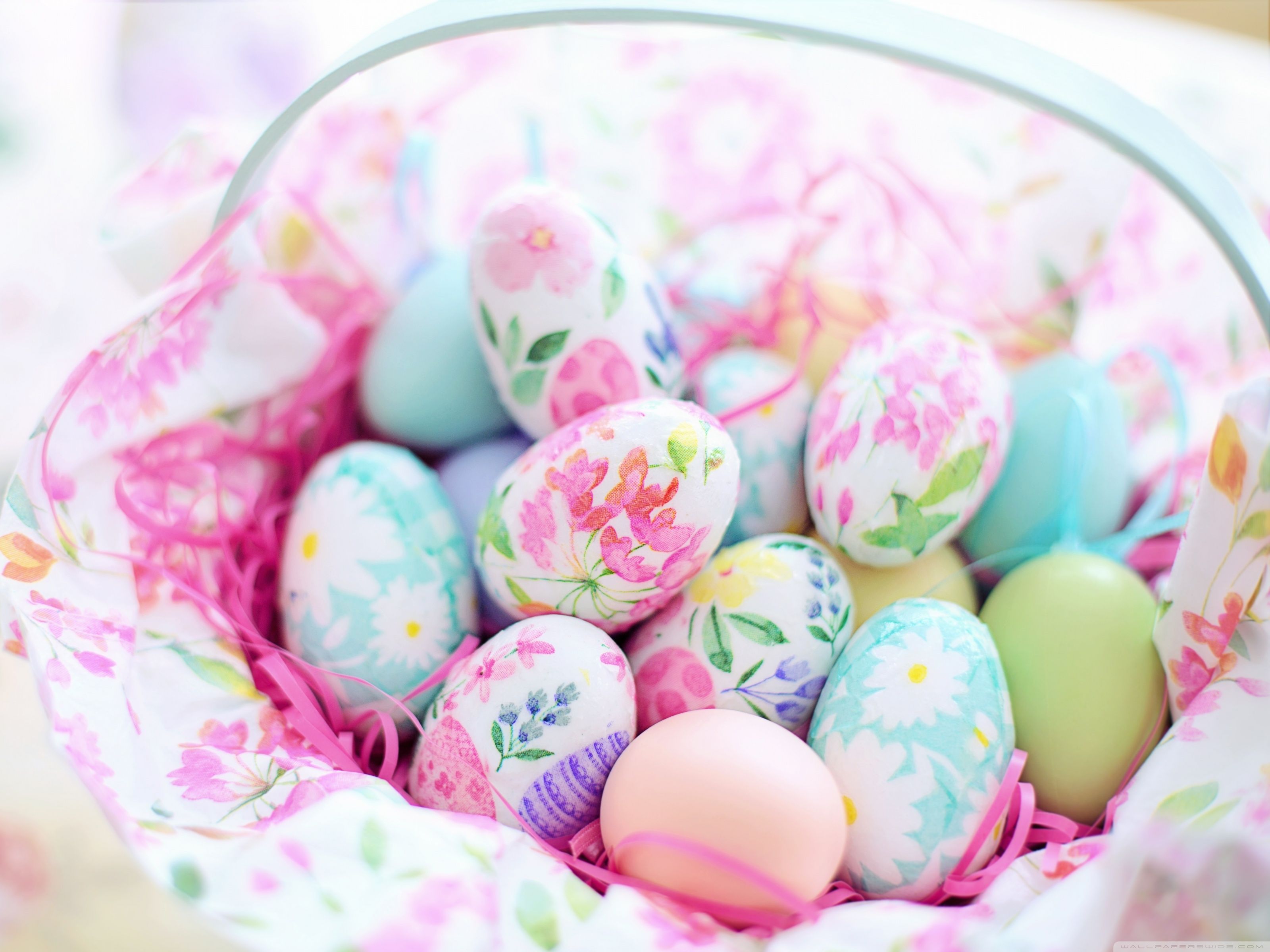 Easter Eggs Basket 2020 Ultra HD Desktop Background Wallpaper