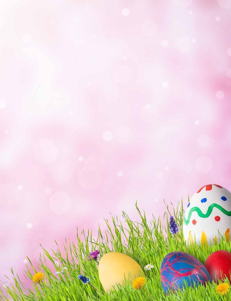 Easter Eggs On Grass With Bokeh Photography Backdrop. Easter