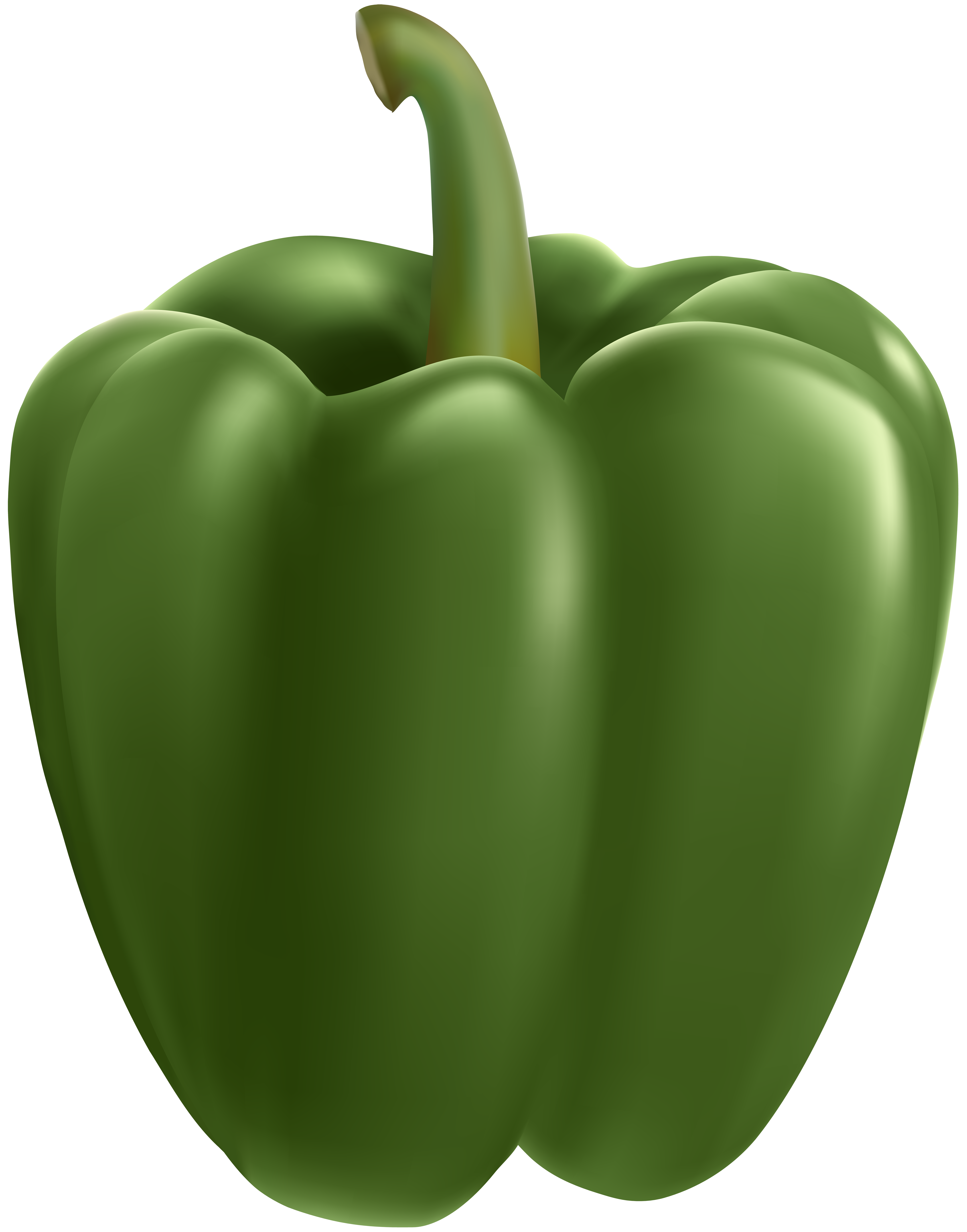 Green Bell Pepper Transparent Clip Art Image
