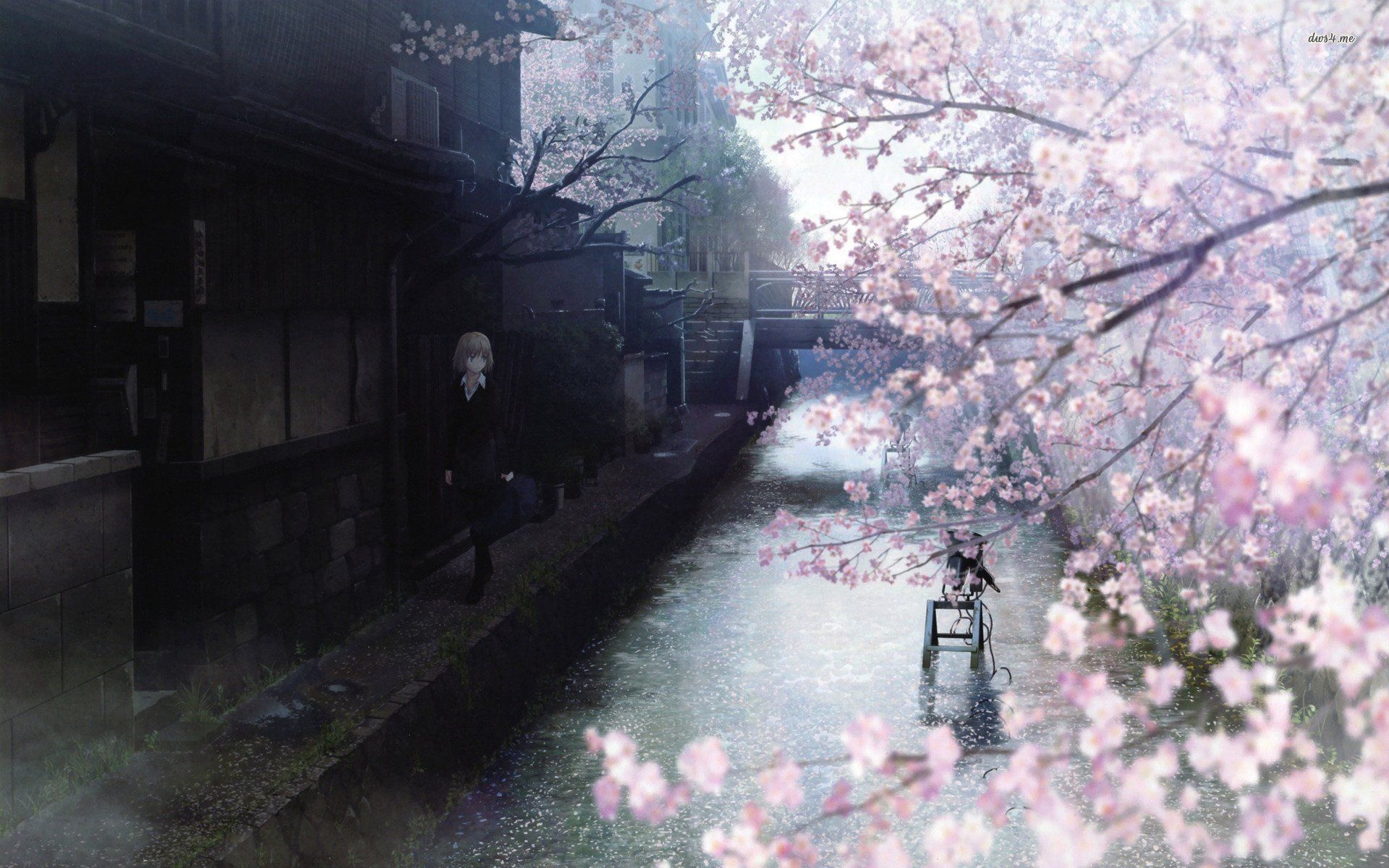 anime, Tree, Sakura, River, Girl Wallpaper HD / Desktop