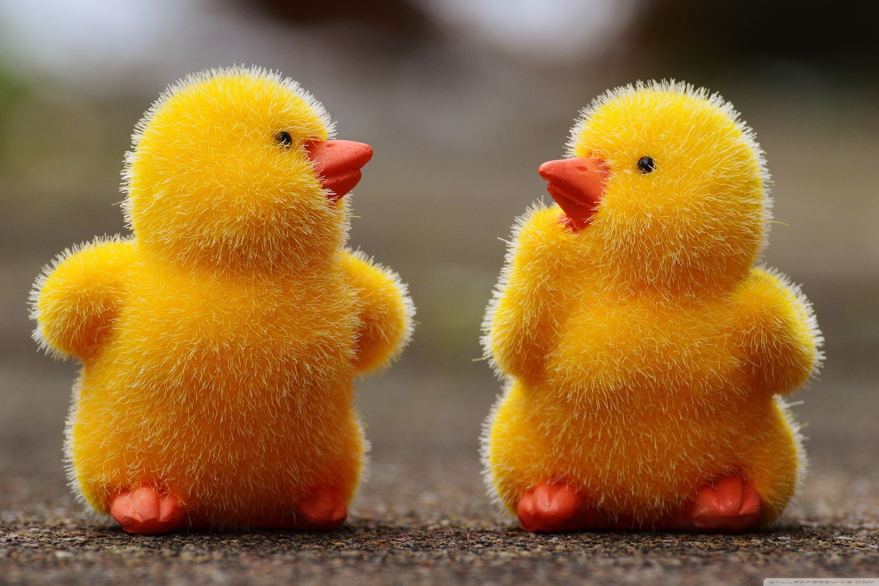 Baby Chicks Easter Wallpaper