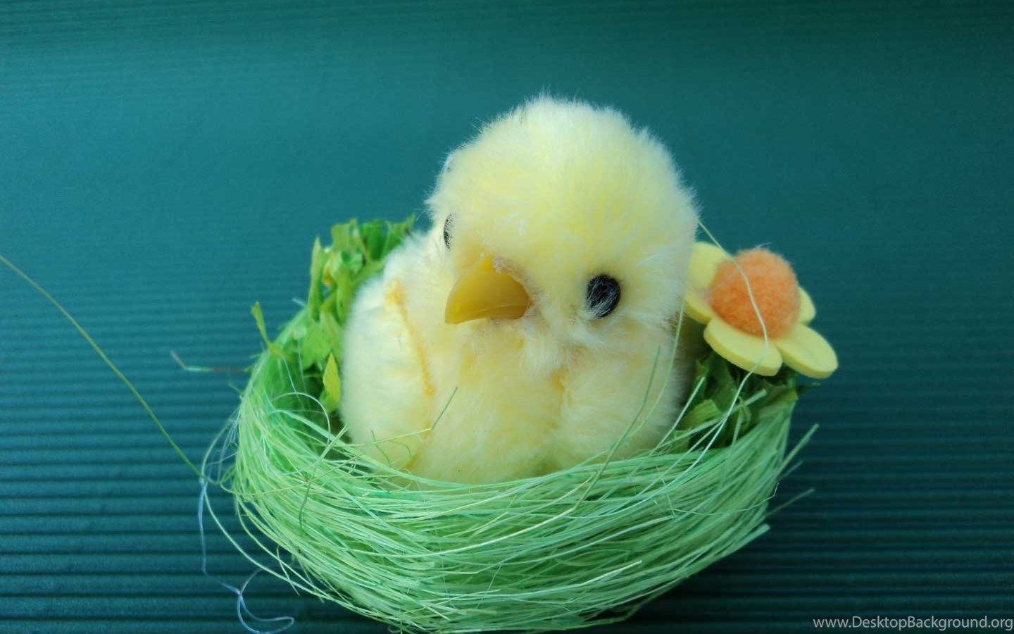 Cute Easter Chicks Desktop Wallpaper Desktop Background