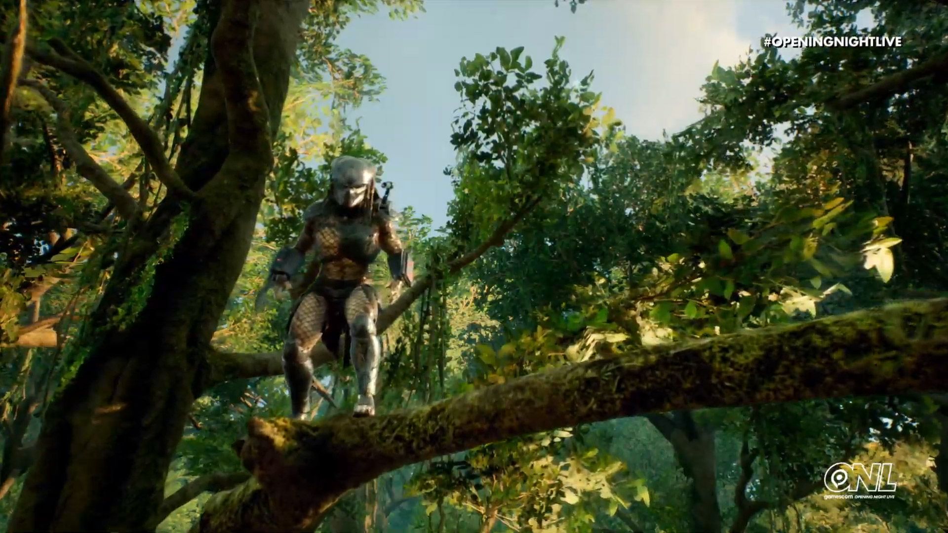 Predator From Predator Hunting Grounds Wallpaper