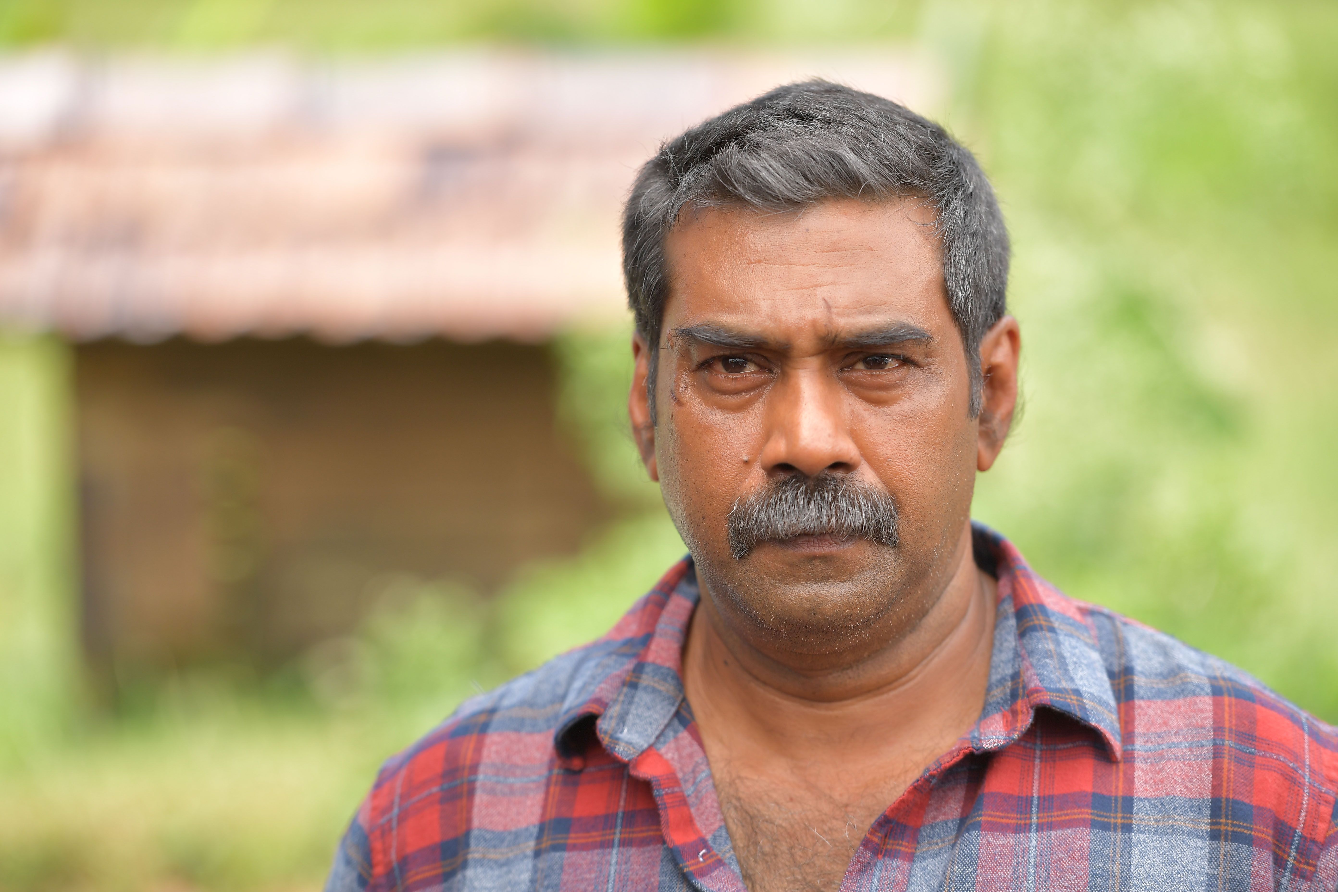 Ayyappanum Koshiyum Wallpapers Wallpaper Cave