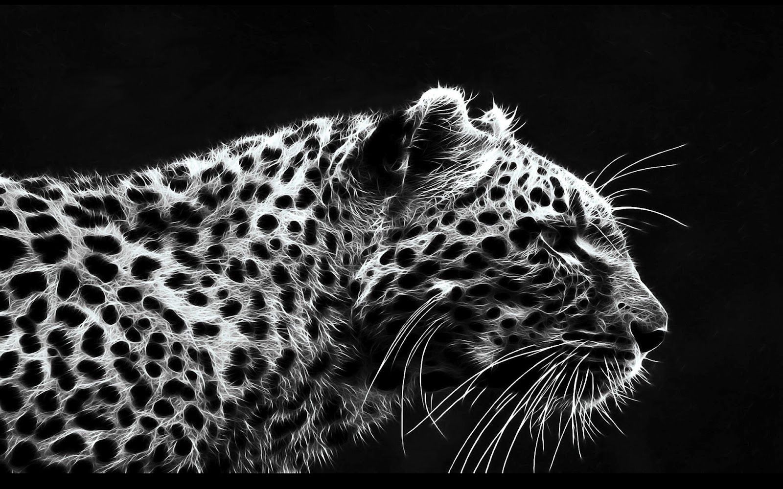 Black and white cheetah wallpaper