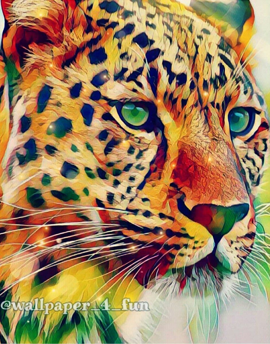 Daily Dose Of Wallpaper