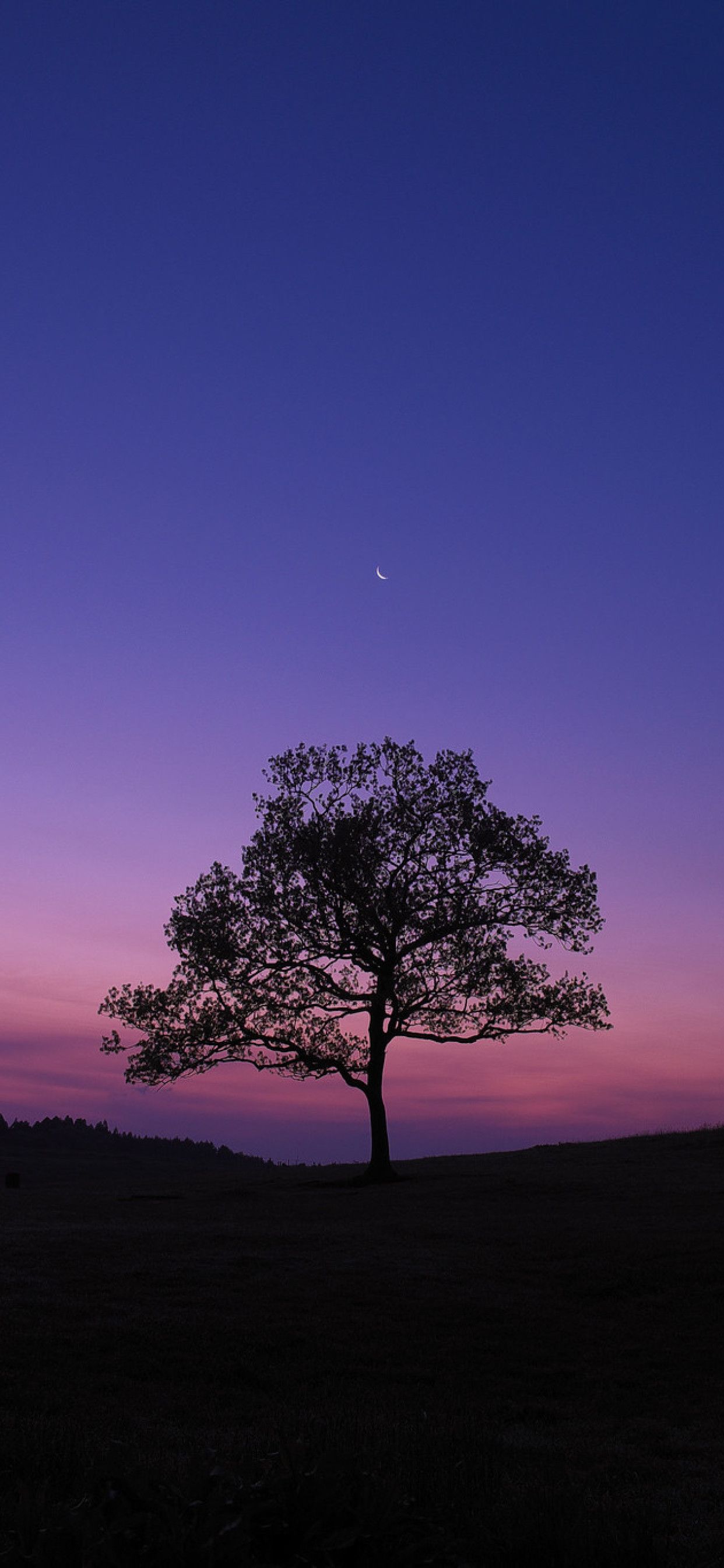 Dark Sky Tree Purple Sky Nature iPhone XS MAX HD 4k