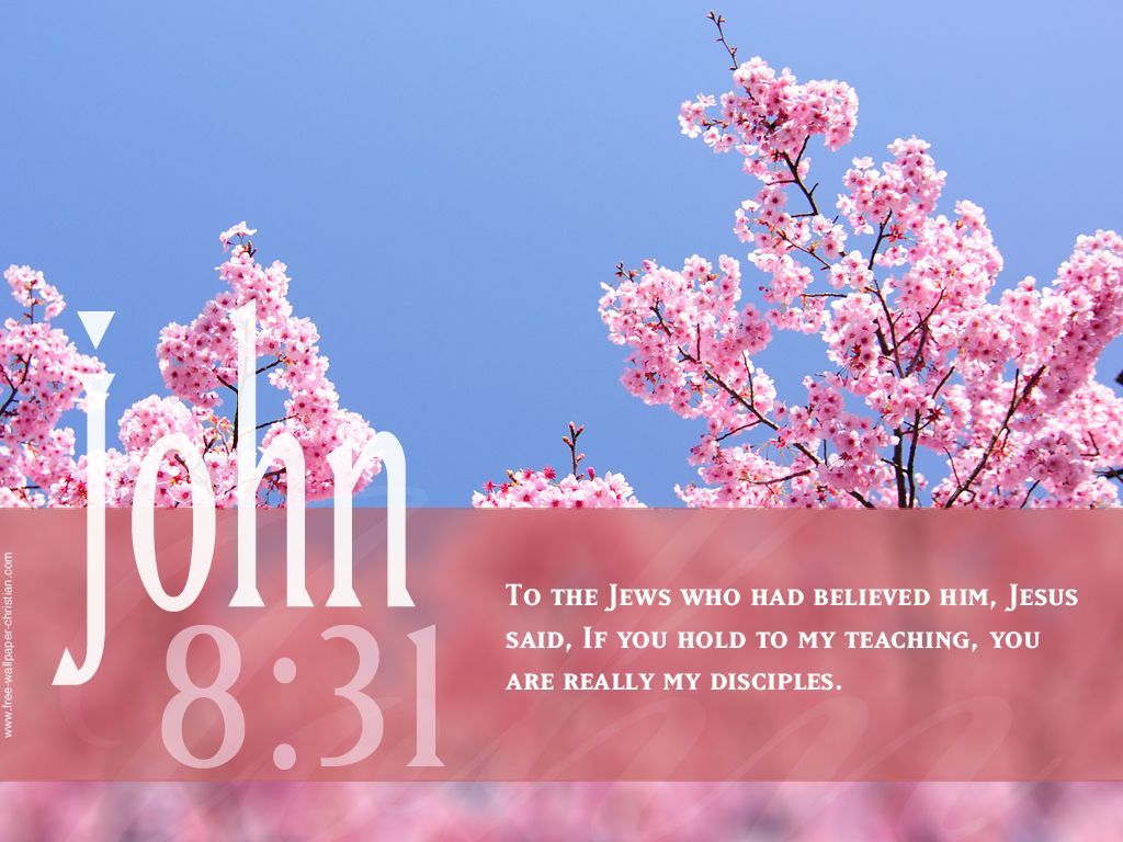 Free Desktop Bible Verse Wallpaper John, 8:31. Bible quotes