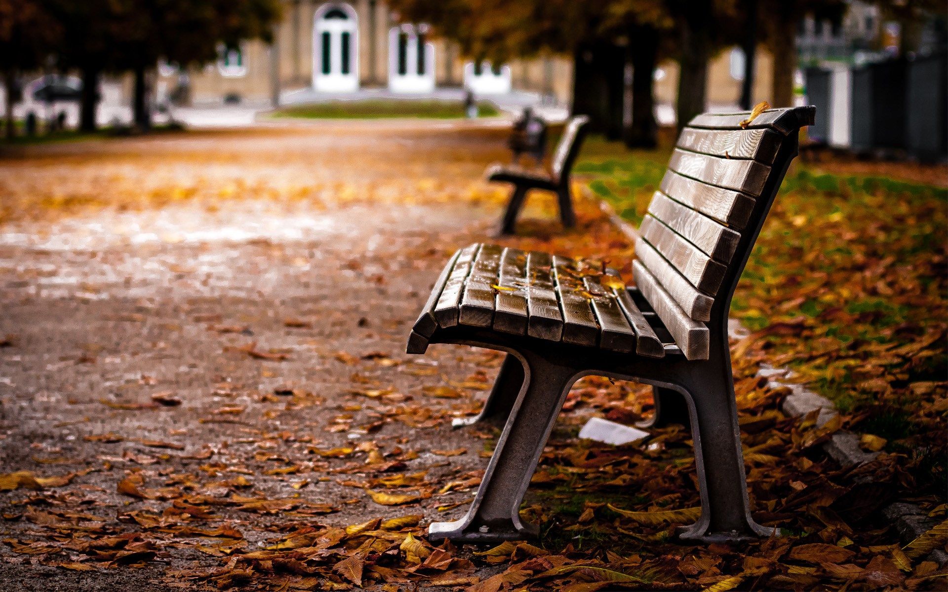 Bench Wallpaper. Bench Wallpaper, Lonely Bench Background and Forrest Gump Bench Wallpaper