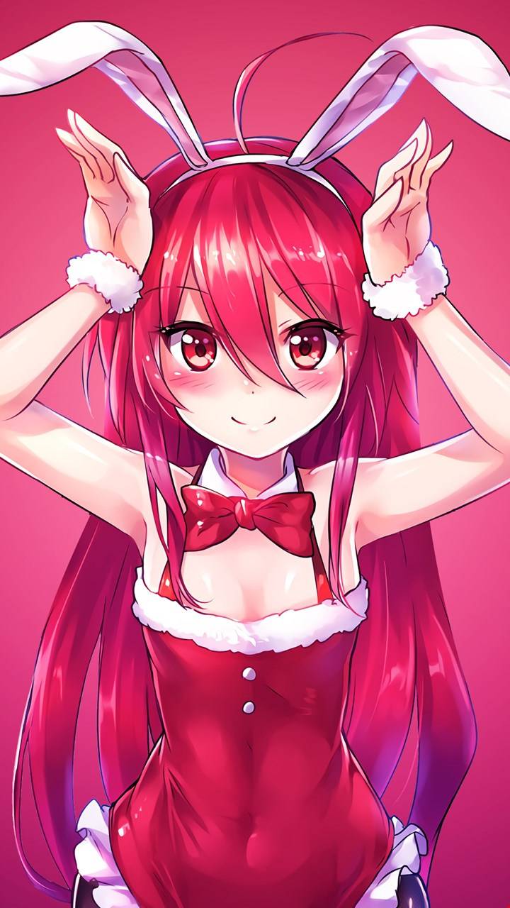 Cute Anime Girl Bunny Wallpapers  Wallpaper Cave