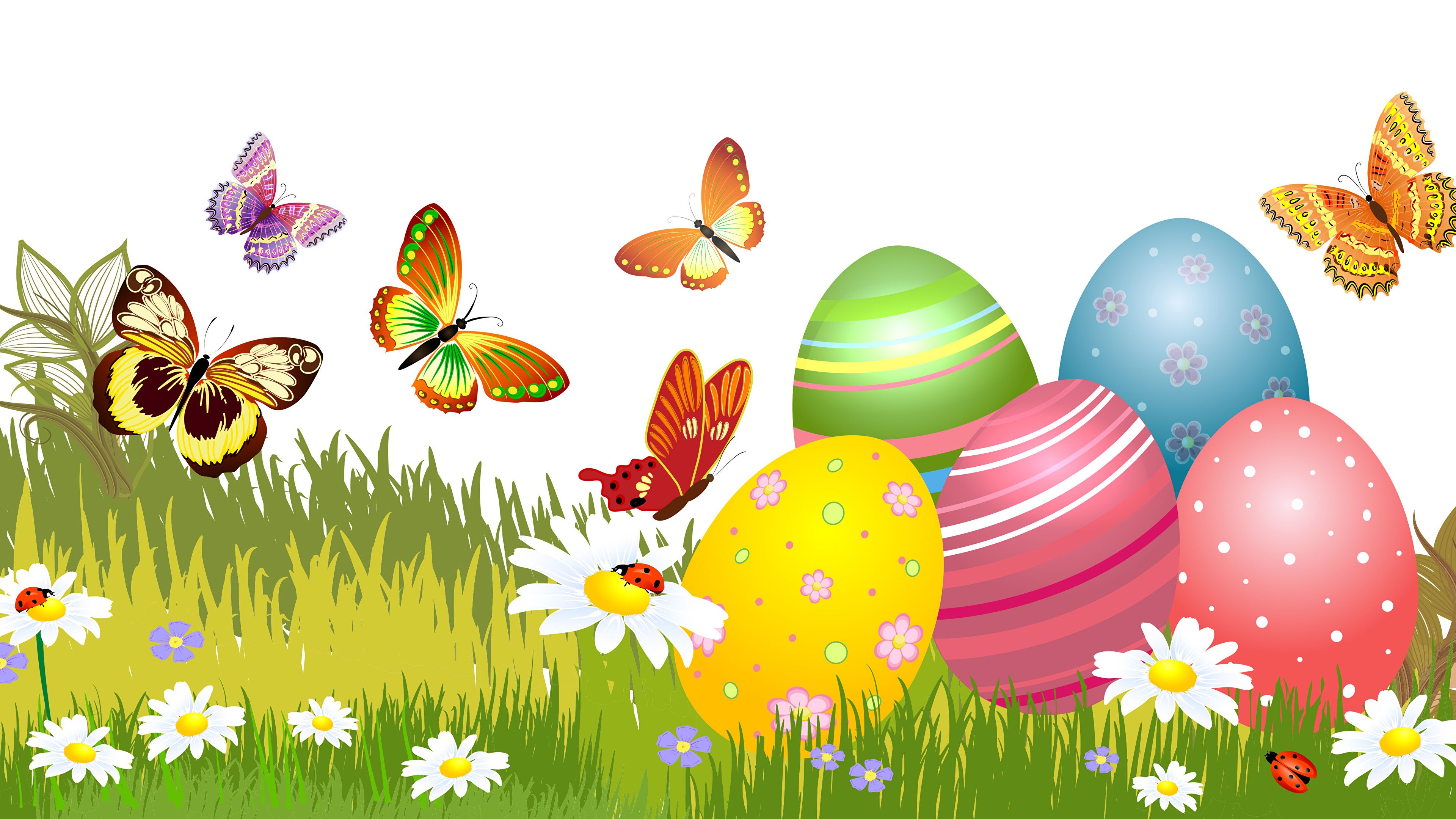 Easter Butterflies Wallpapers - Wallpaper Cave