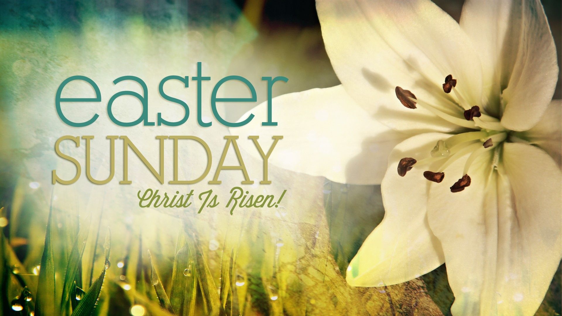 Easter Sunday Wallpaper For Widescreen 33 Easter Worship