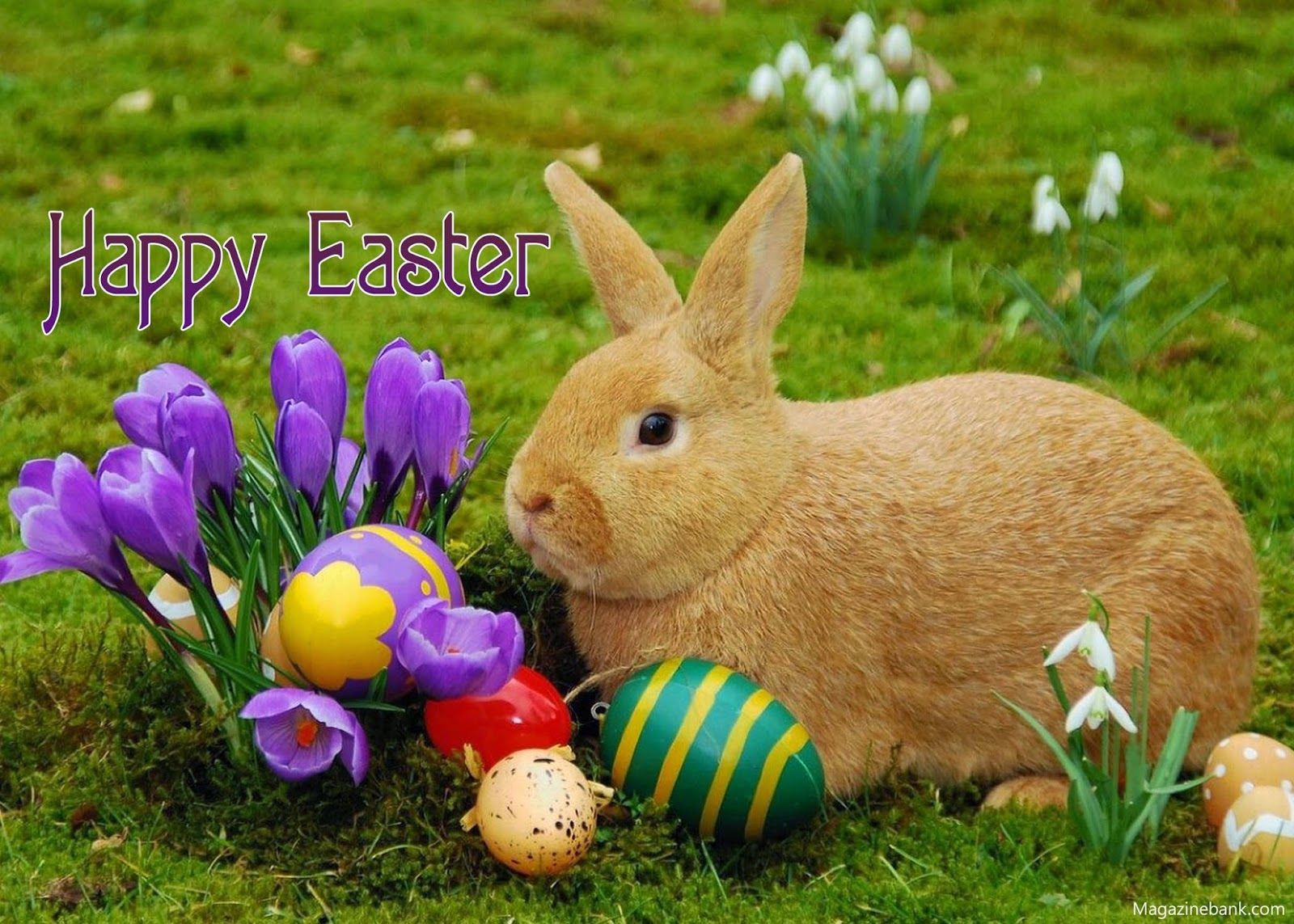 Pretty Happy Easter Picture, Photo, and Image for Facebook