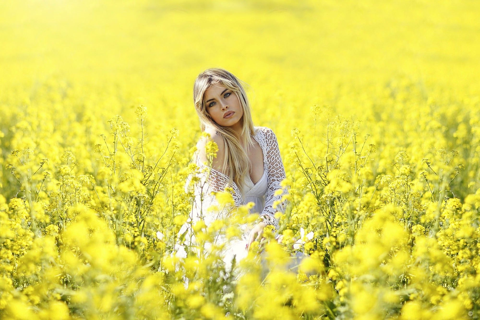 women Outdoors, Women, Blonde, Nature, Plants, Flowers, Field