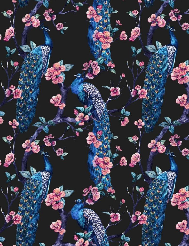 Feathr Bird Wallpaper