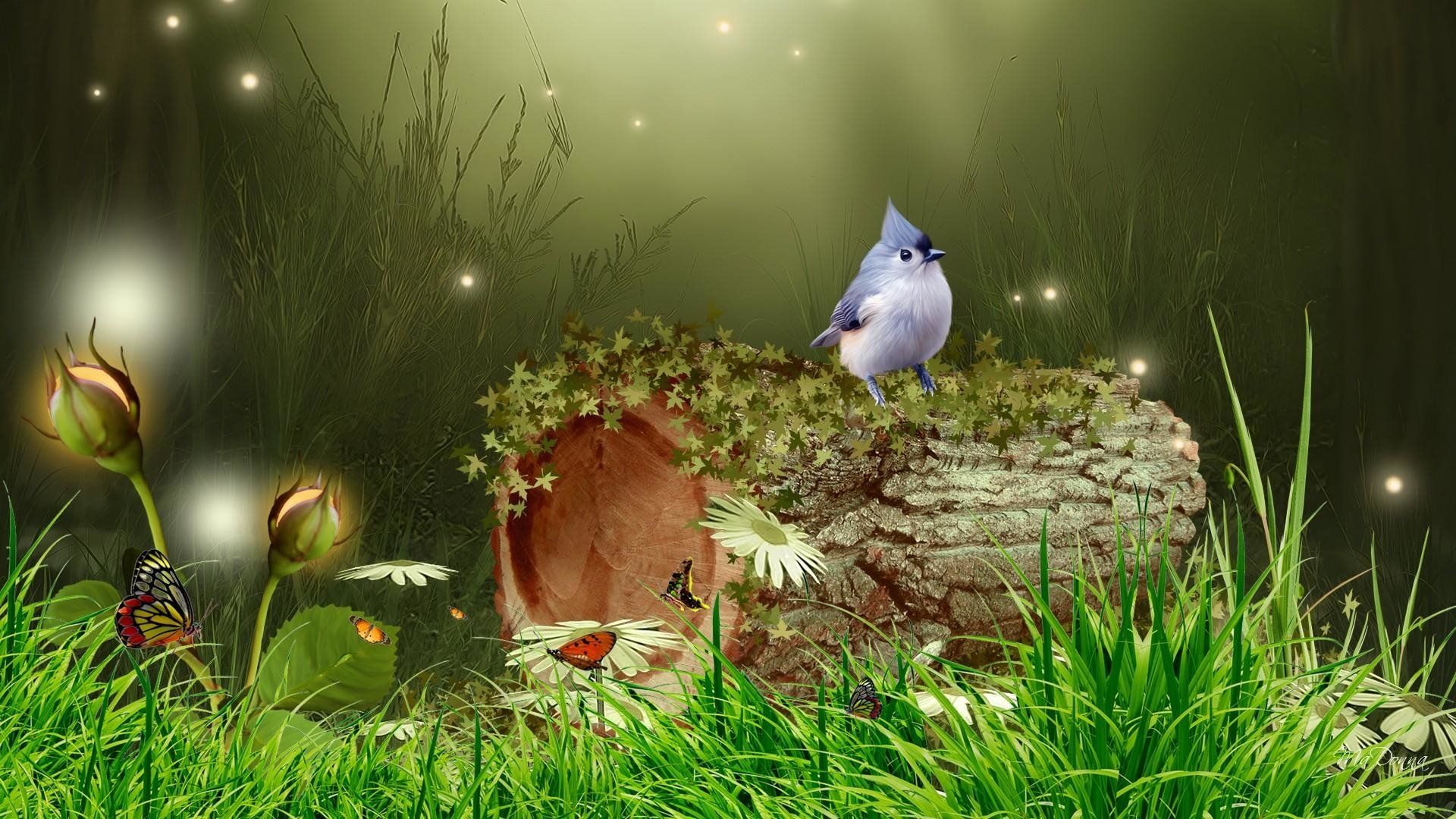 Bird in Fantasy Forest HD Wallpaper. Background Imagex1080