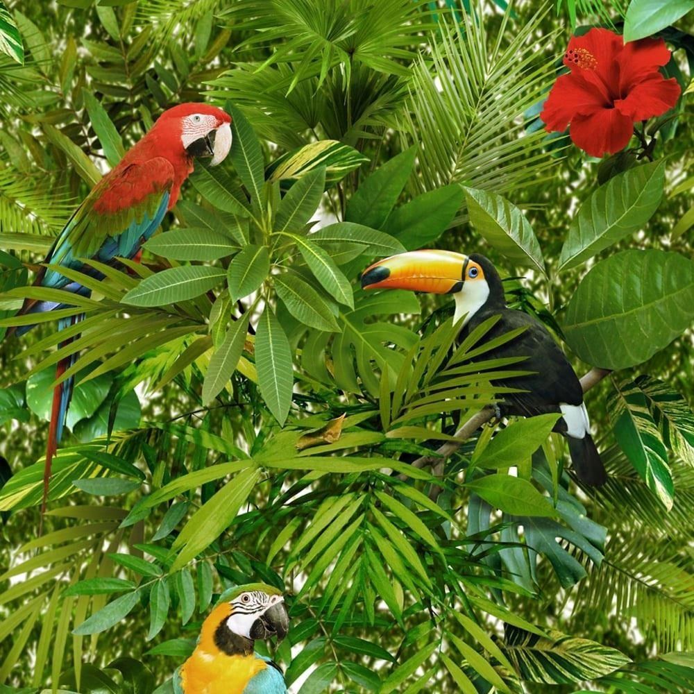 Tropical Jungle Wallpaper Parrot Birds Green Multi